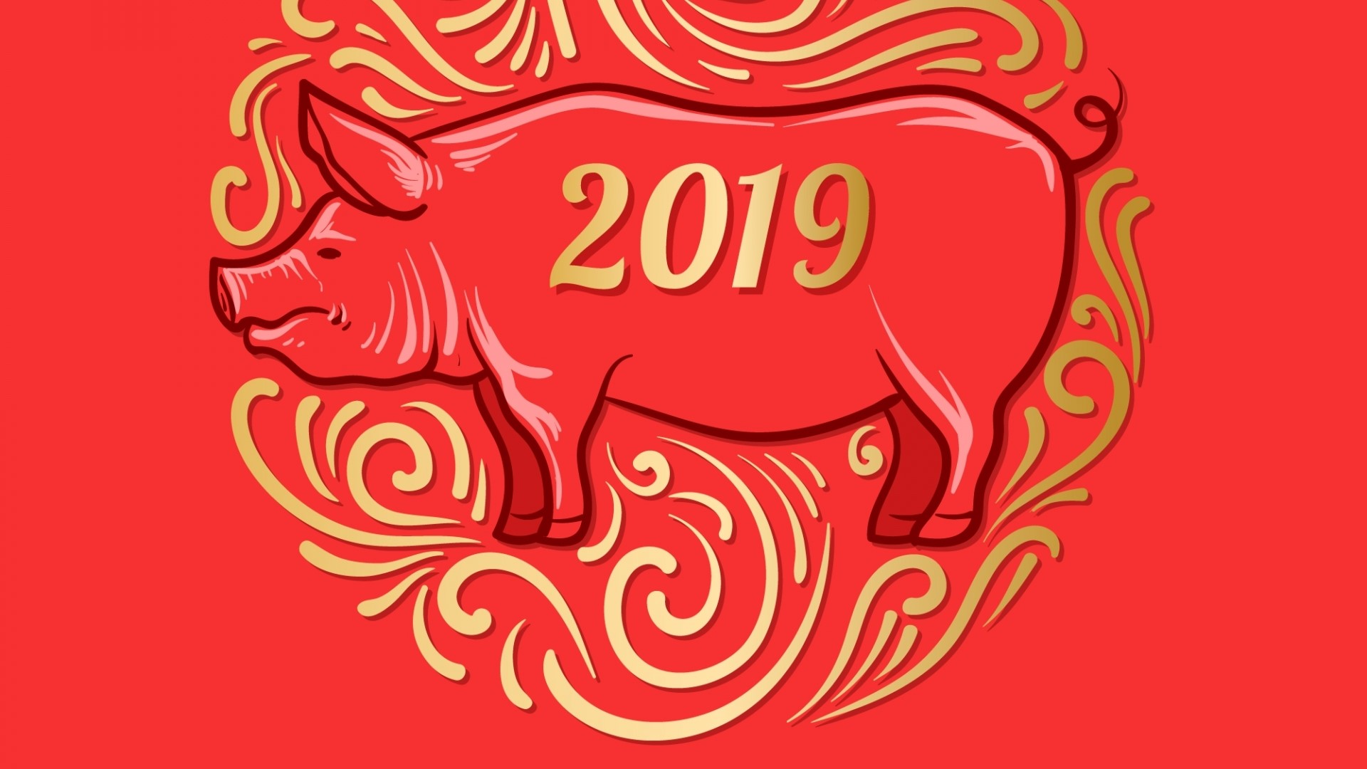 2019 Chinese New Year Pig Illustration HD Wallpaper