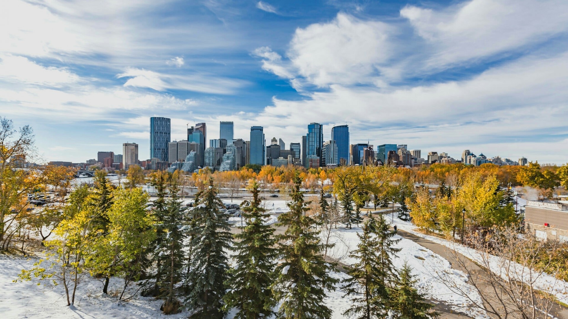 Calgary skyline in winter with snow and autumn leaves HD Wallpaper