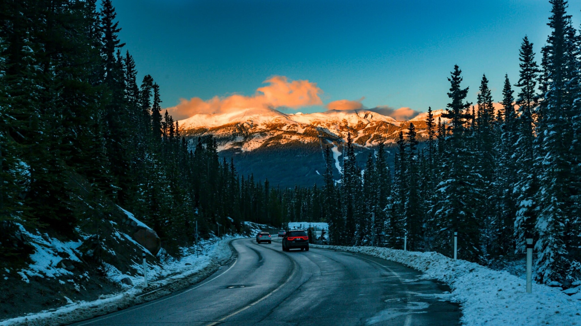 Winter mountain road with snow and pine trees HD Wallpaper