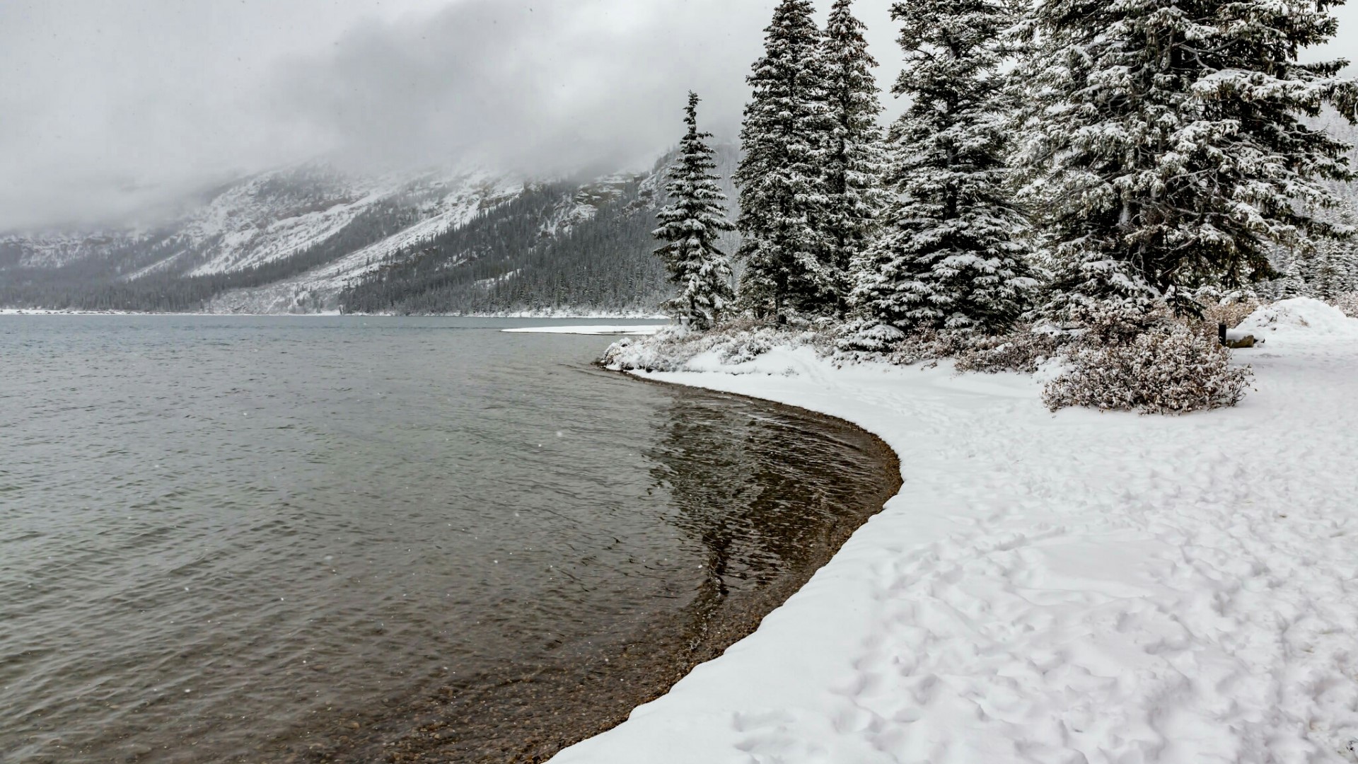 Winter landscape with lake and snow-covered trees HD Wallpaper