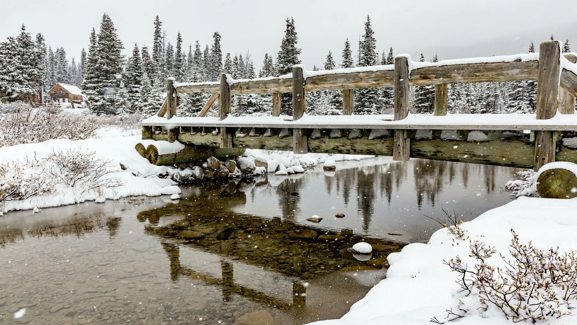 Wooden bridge over a stream in a snowy forest HD Wallpaper