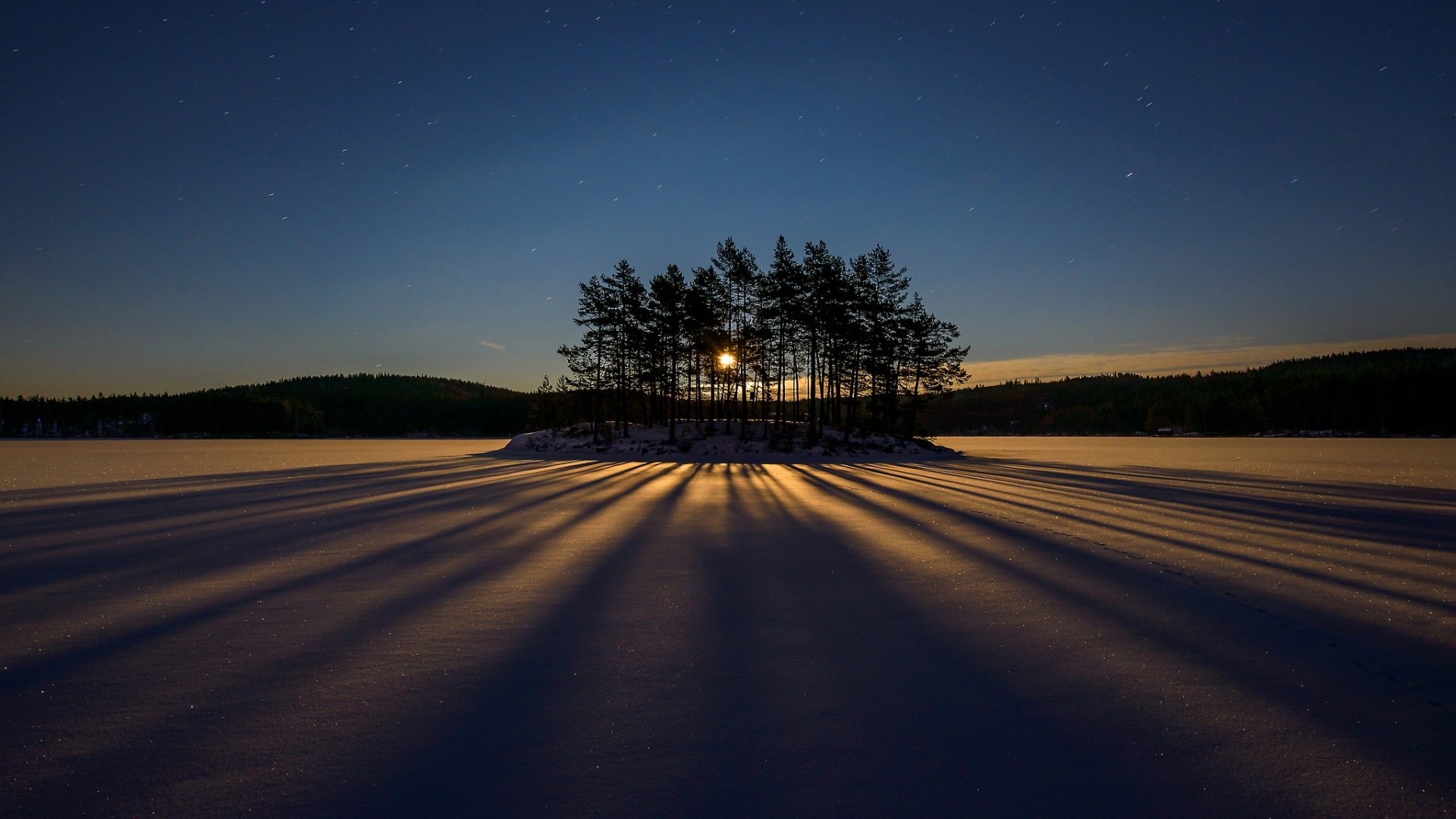 Island of trees casting long shadows on snow under starry sky HD Wallpaper