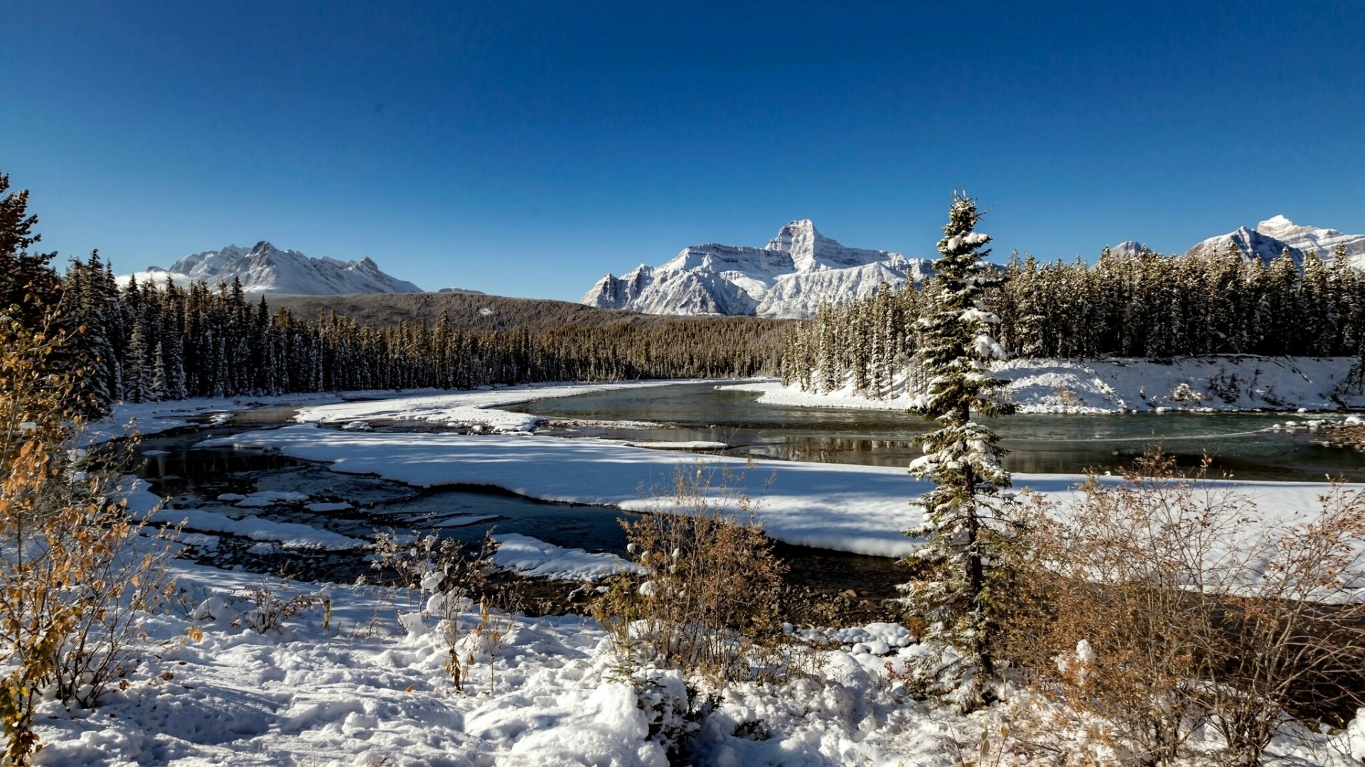 Winter landscape with snow-covered trees and mountains HD Wallpaper