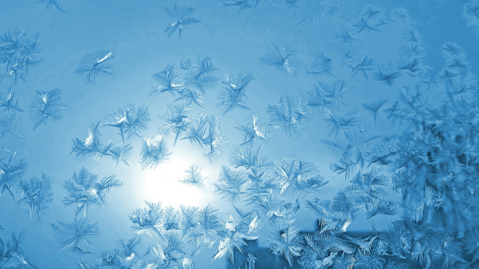 Frosty patterns on a window HD Wallpaper