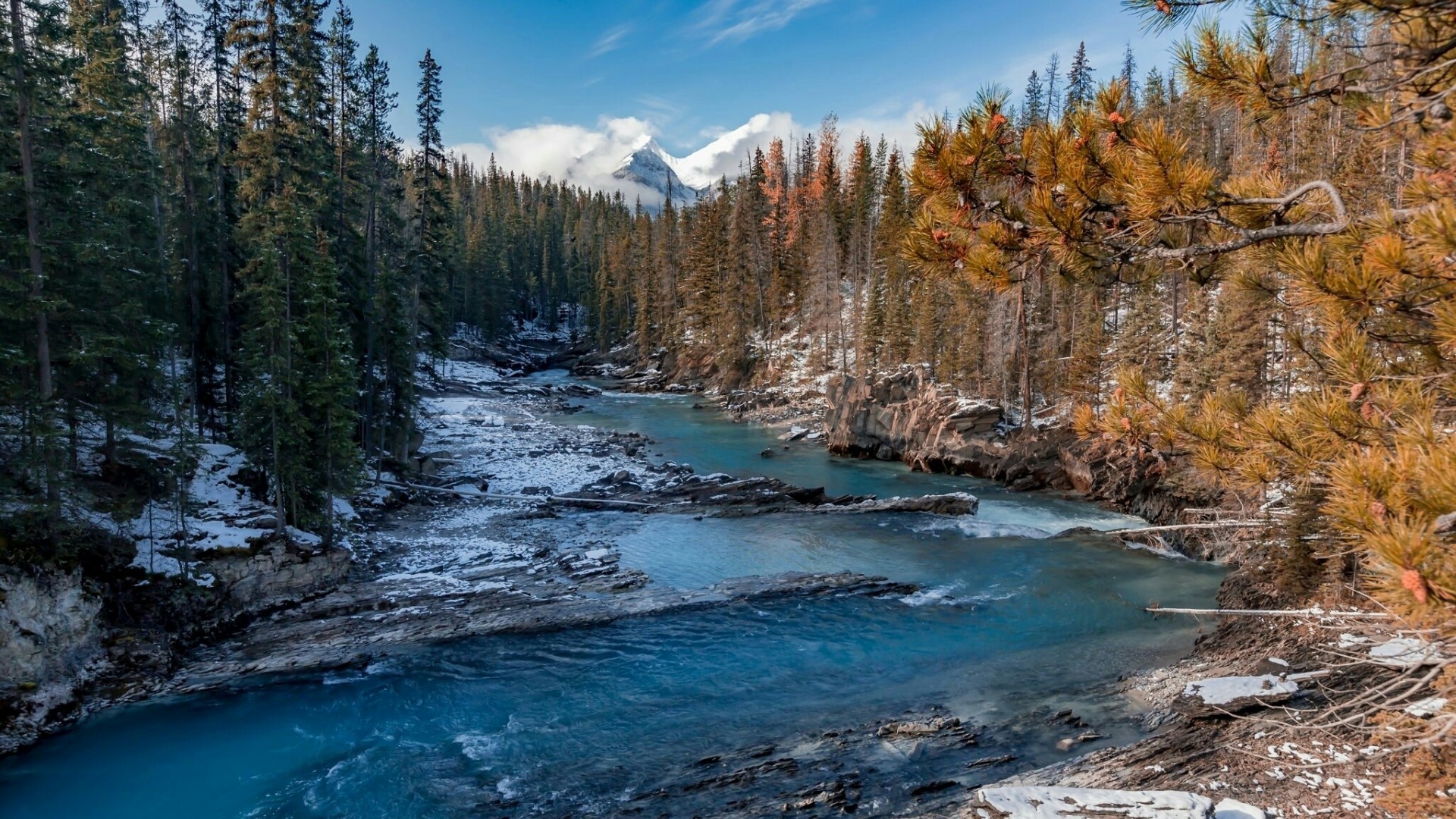 Winter river flowing through a pine forest with mountains HD Wallpaper