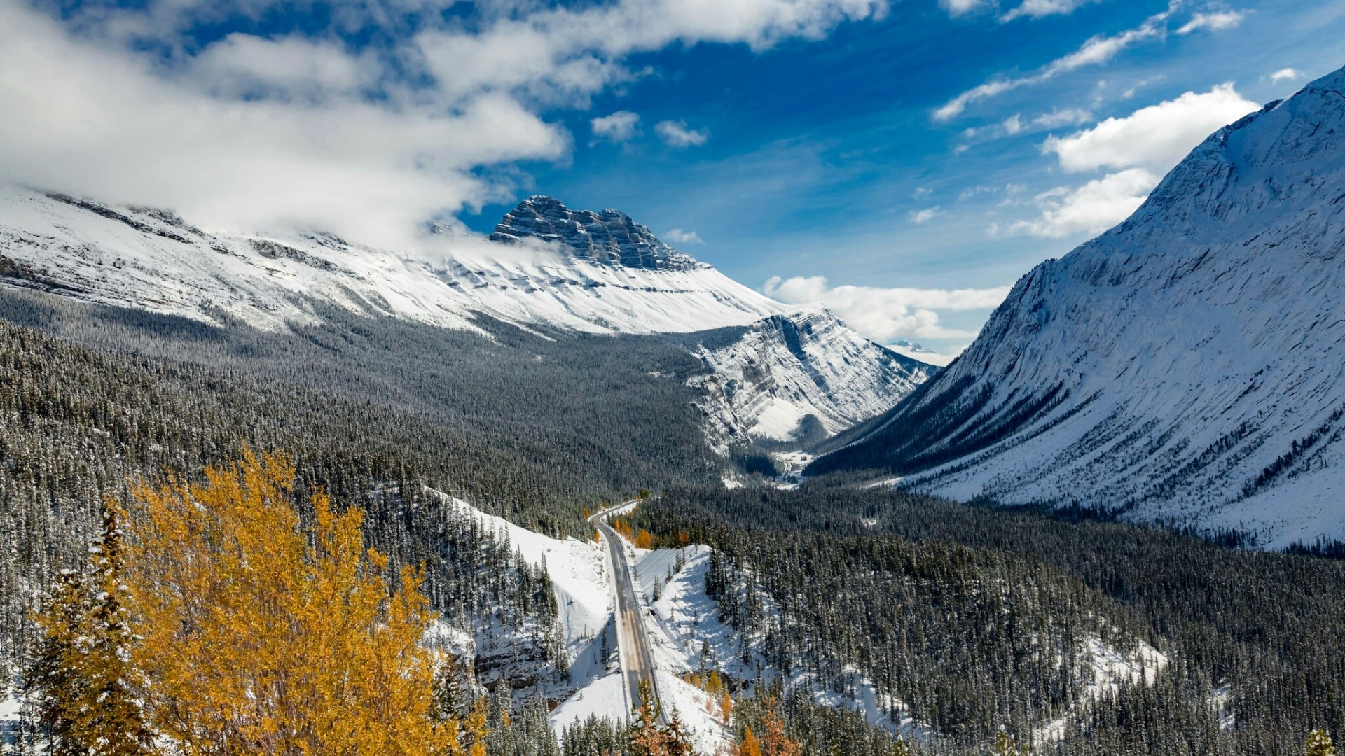 Snowy Mountains and Forest Road HD Wallpaper