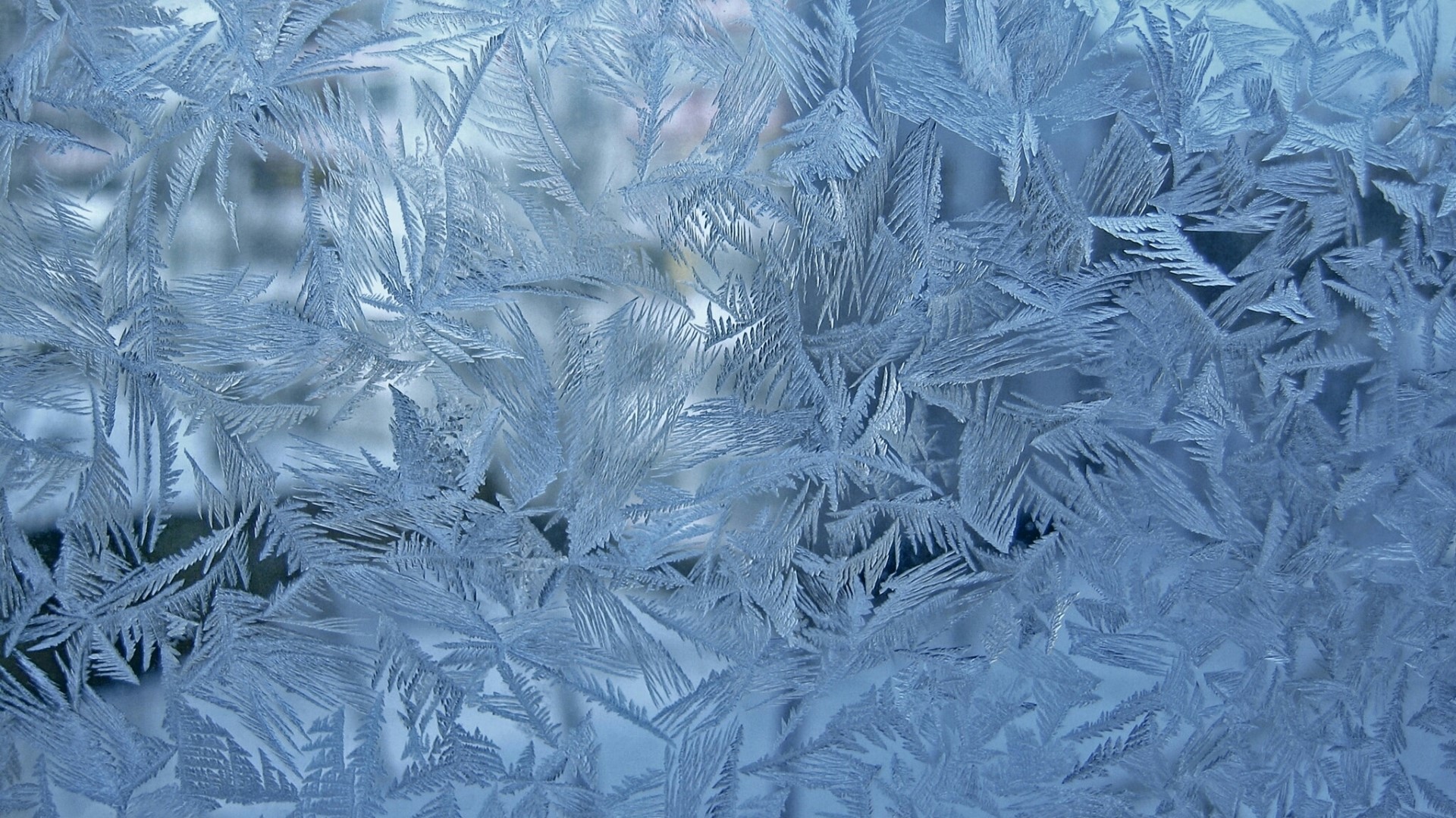 Frosty pattern on glass HD Wallpaper