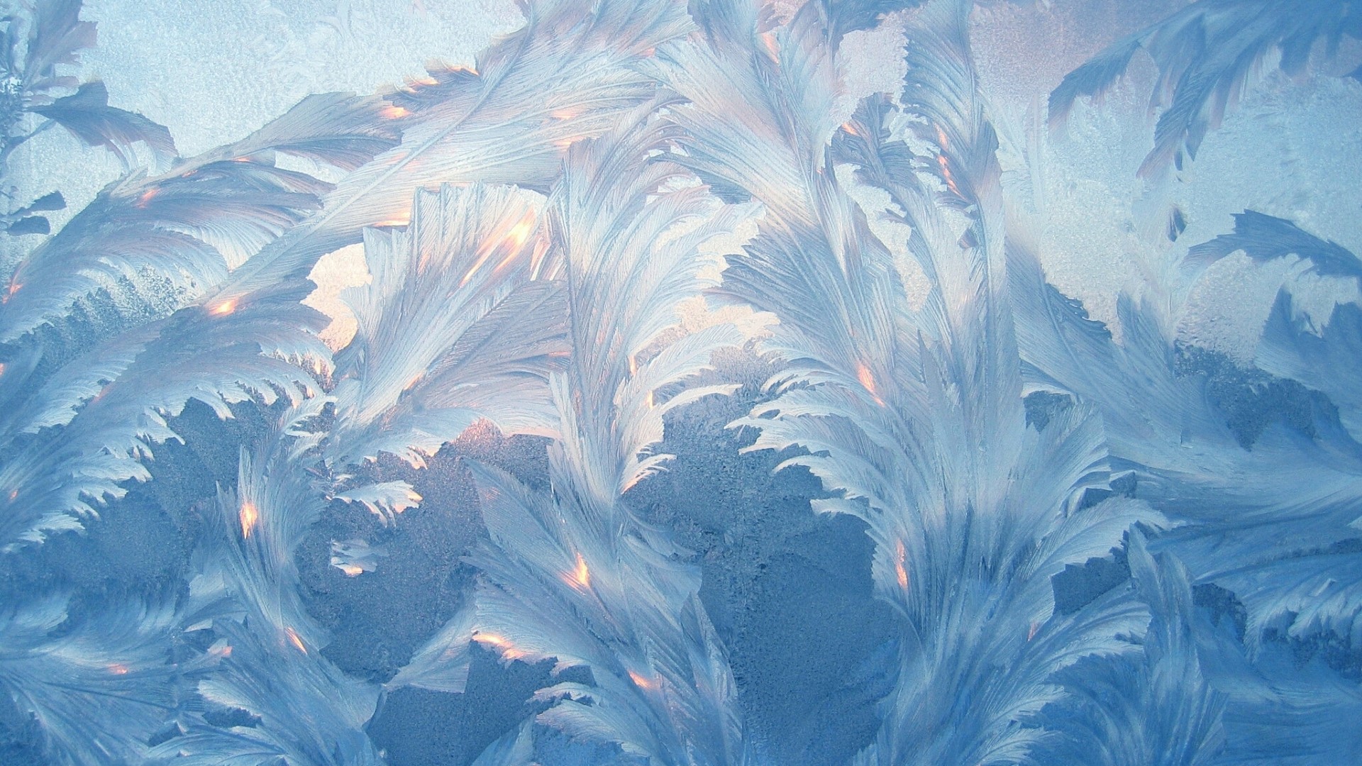 Frosty pattern on glass HD Wallpaper