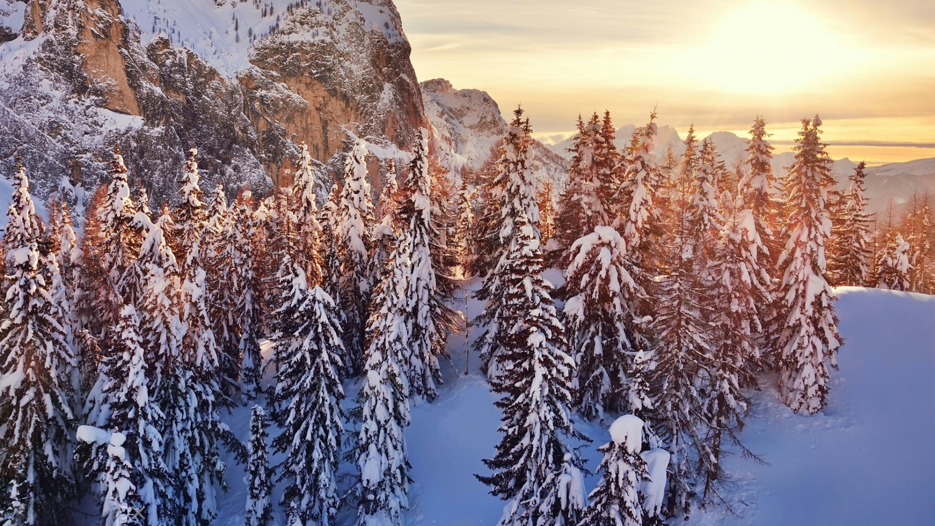 Snowy forest on a mountain at sunset HD Wallpaper