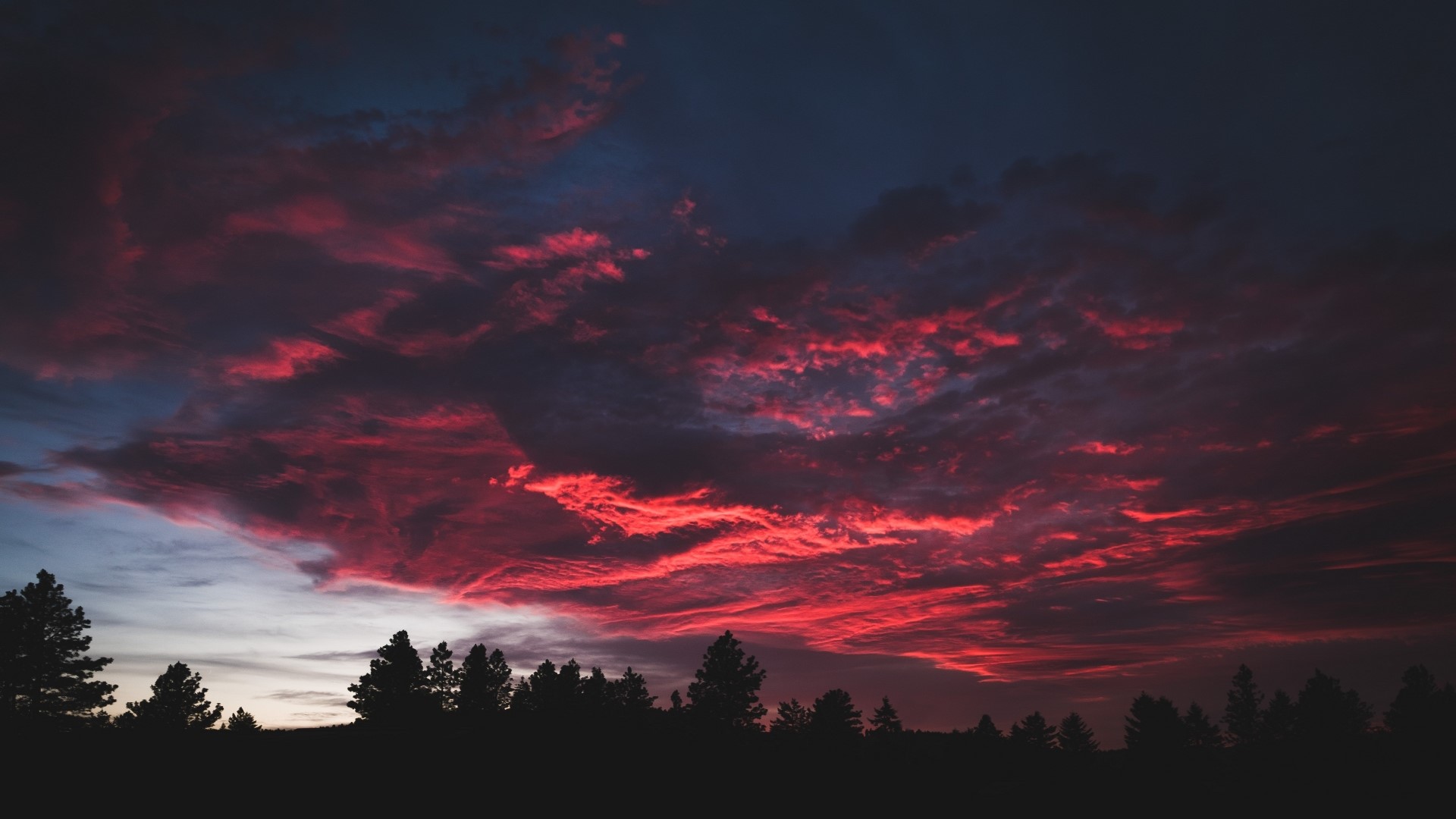 Crimson clouds at sunset over silhouetted trees HD Wallpaper