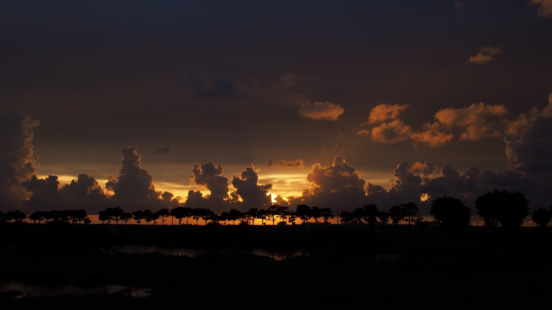 Sunset over a line of trees HD Wallpaper