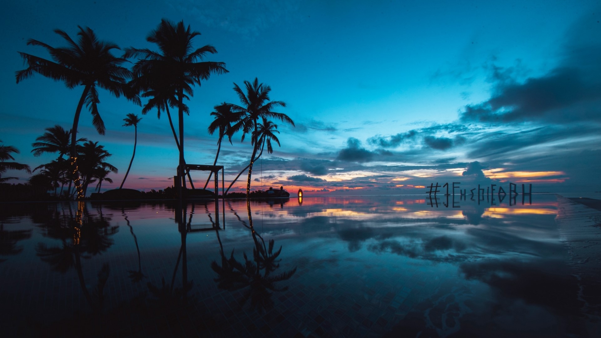 Palm trees reflected in water at sunset HD Wallpaper
