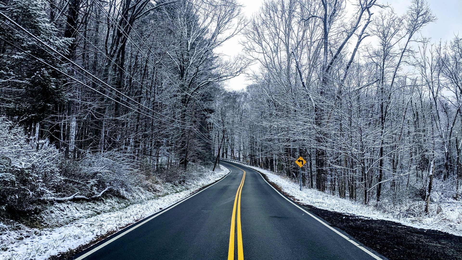 Winding road through a snowy forest HD Wallpaper