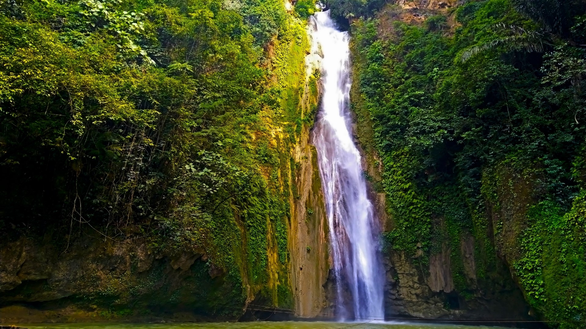 Waterfall in a lush green forest HD Wallpaper