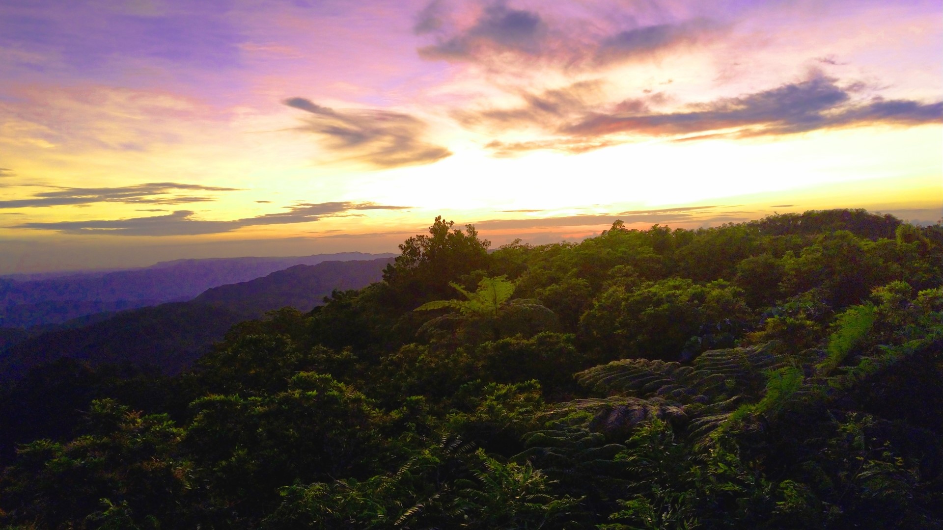 Sunrise over forested mountains HD Wallpaper