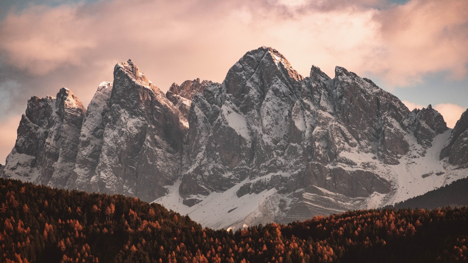 Snow-capped mountains with autumn forest HD Wallpaper