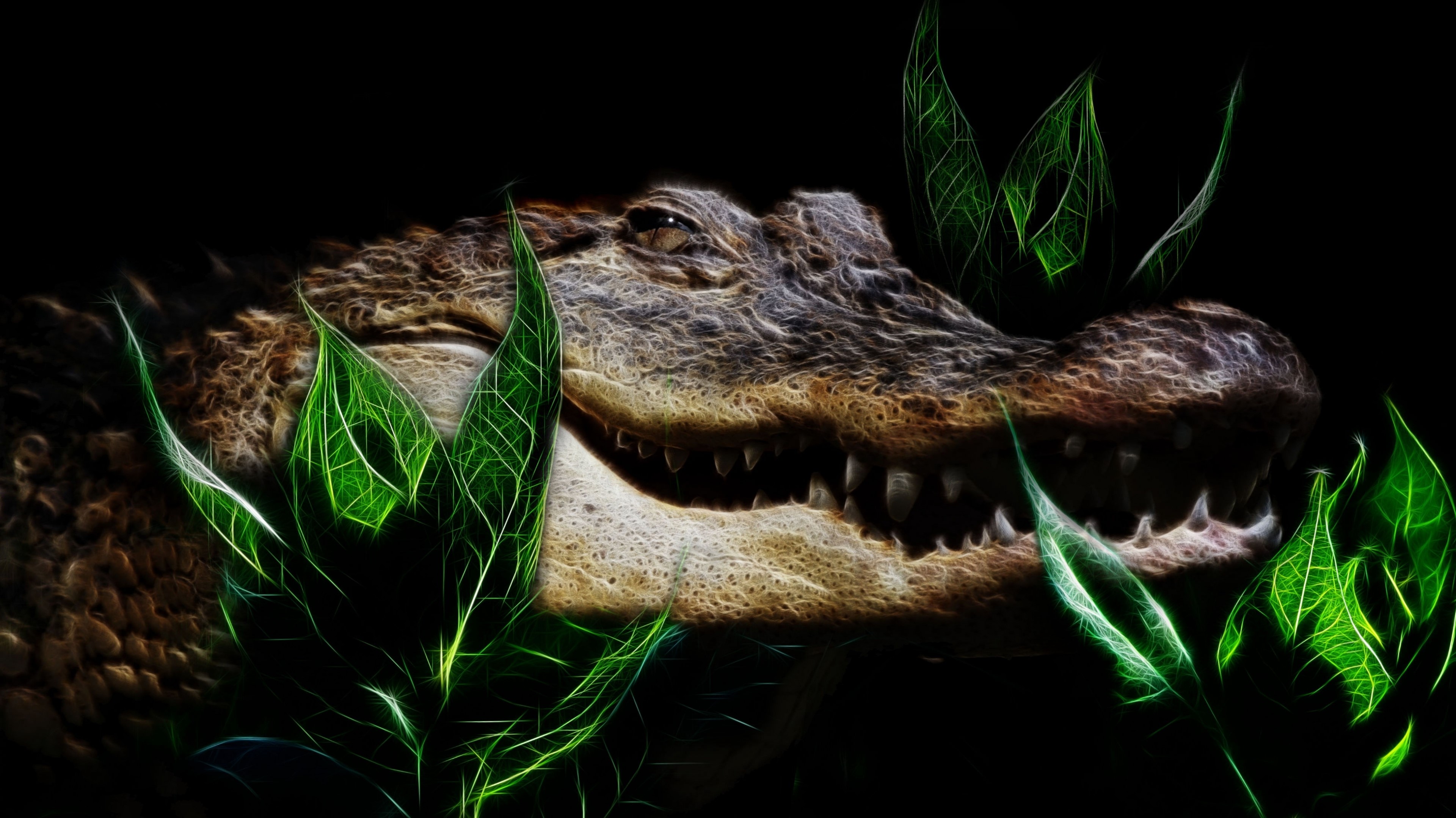 4K Alligator in Greenery HD Wallpaper