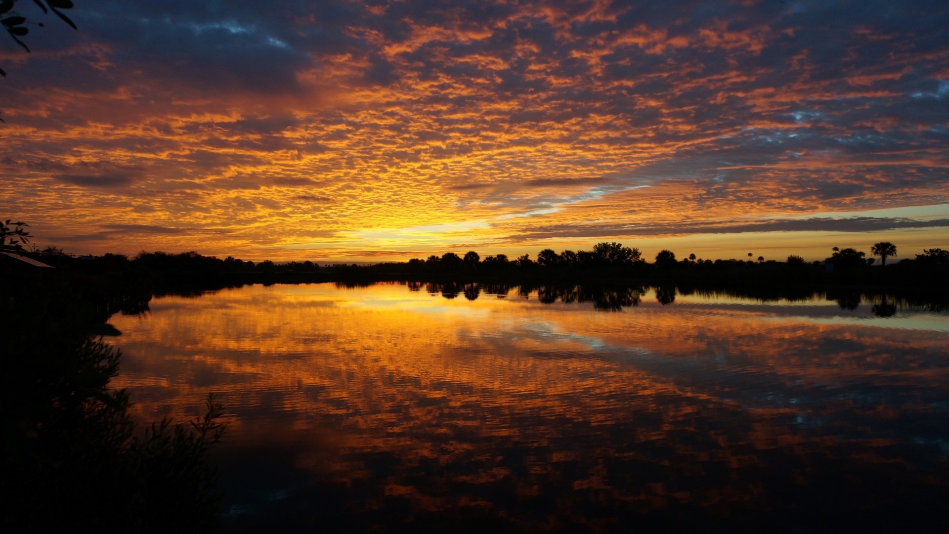Sunset over a calm lake with silhouetted trees HD Wallpaper