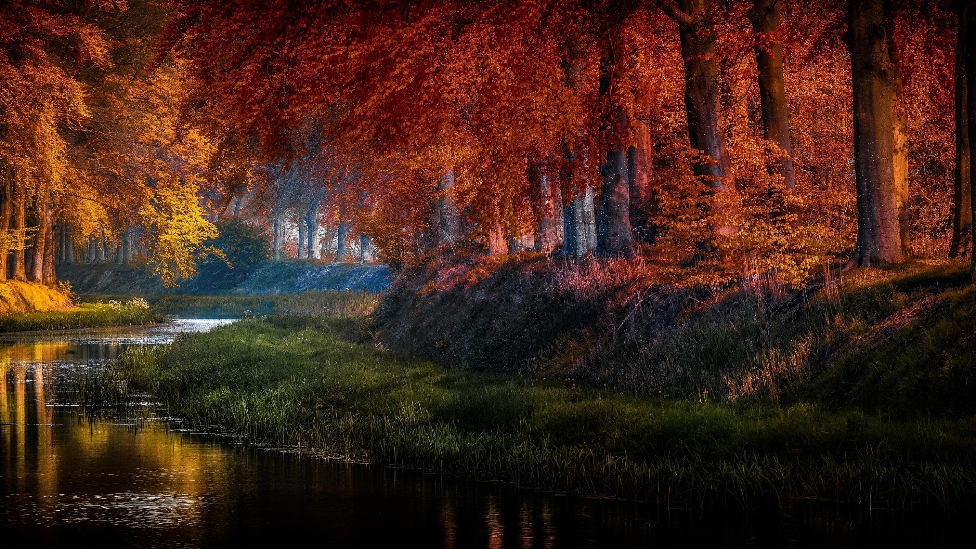 Autumn forest with a river HD Wallpaper