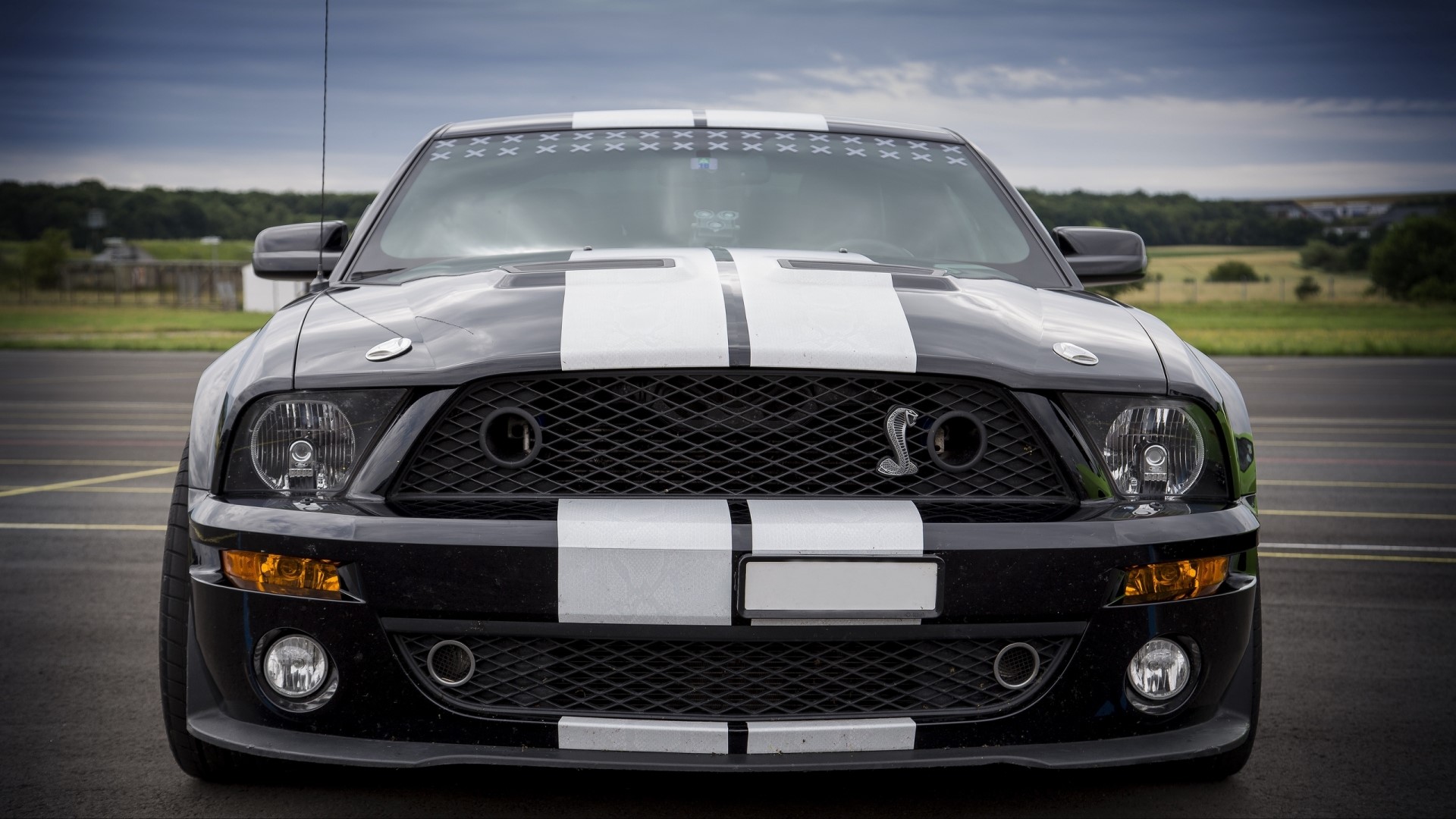 Ford Mustang Shelby GT500 HD Wallpaper