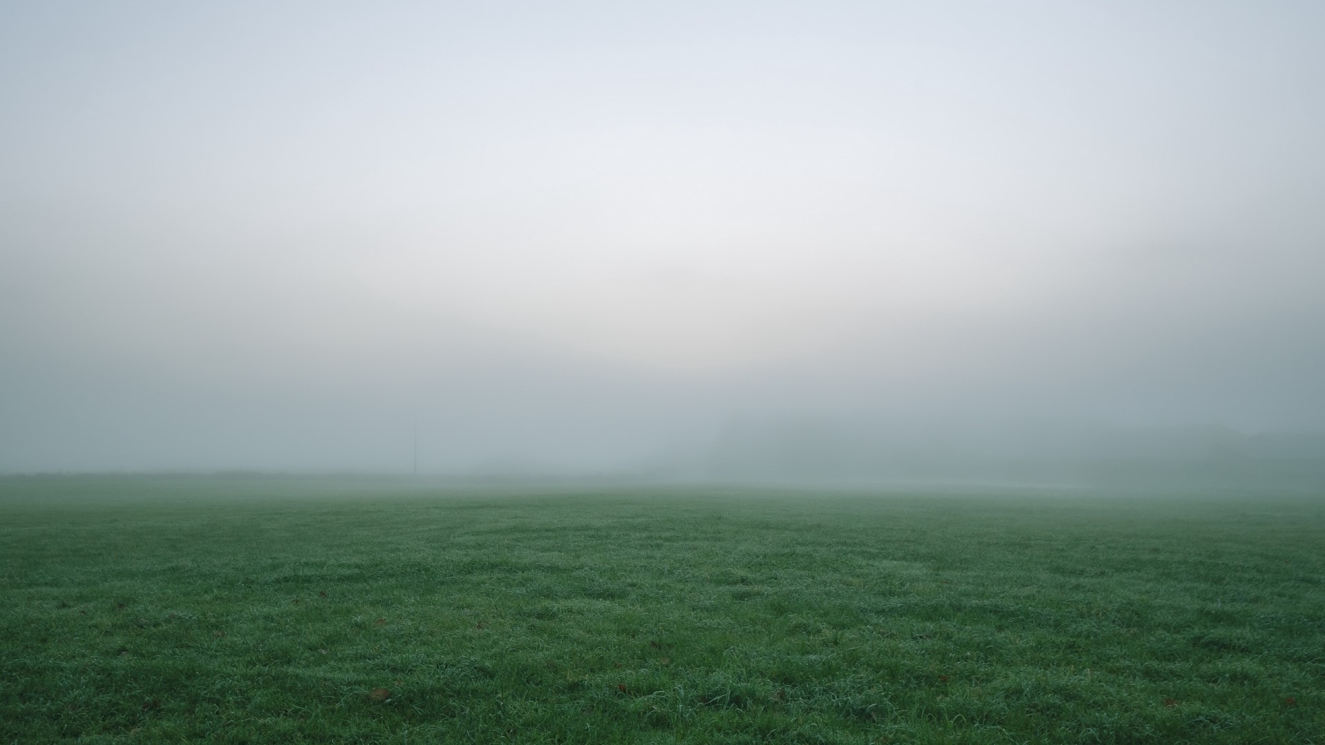 Foggy Field with Distant Pole HD Wallpaper