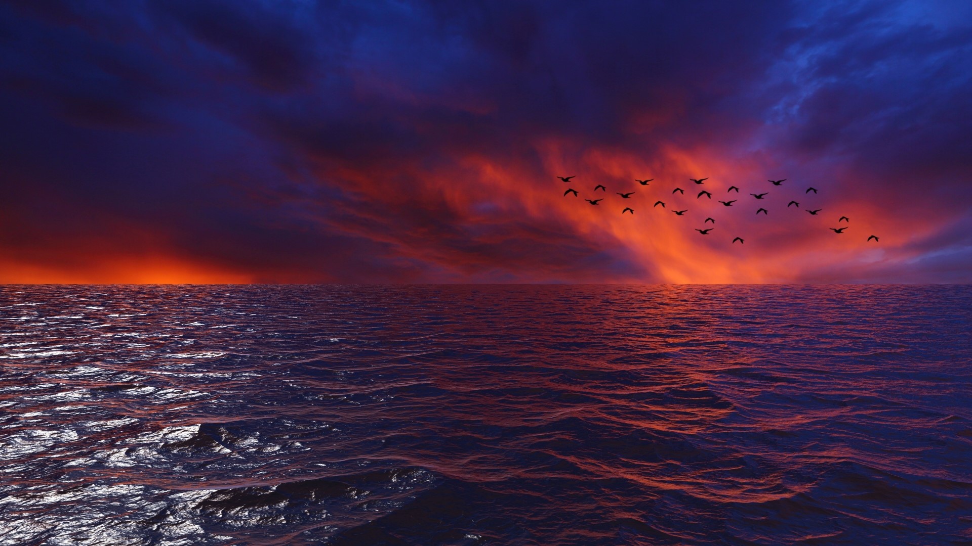 Birds flying over the ocean at sunset HD Wallpaper