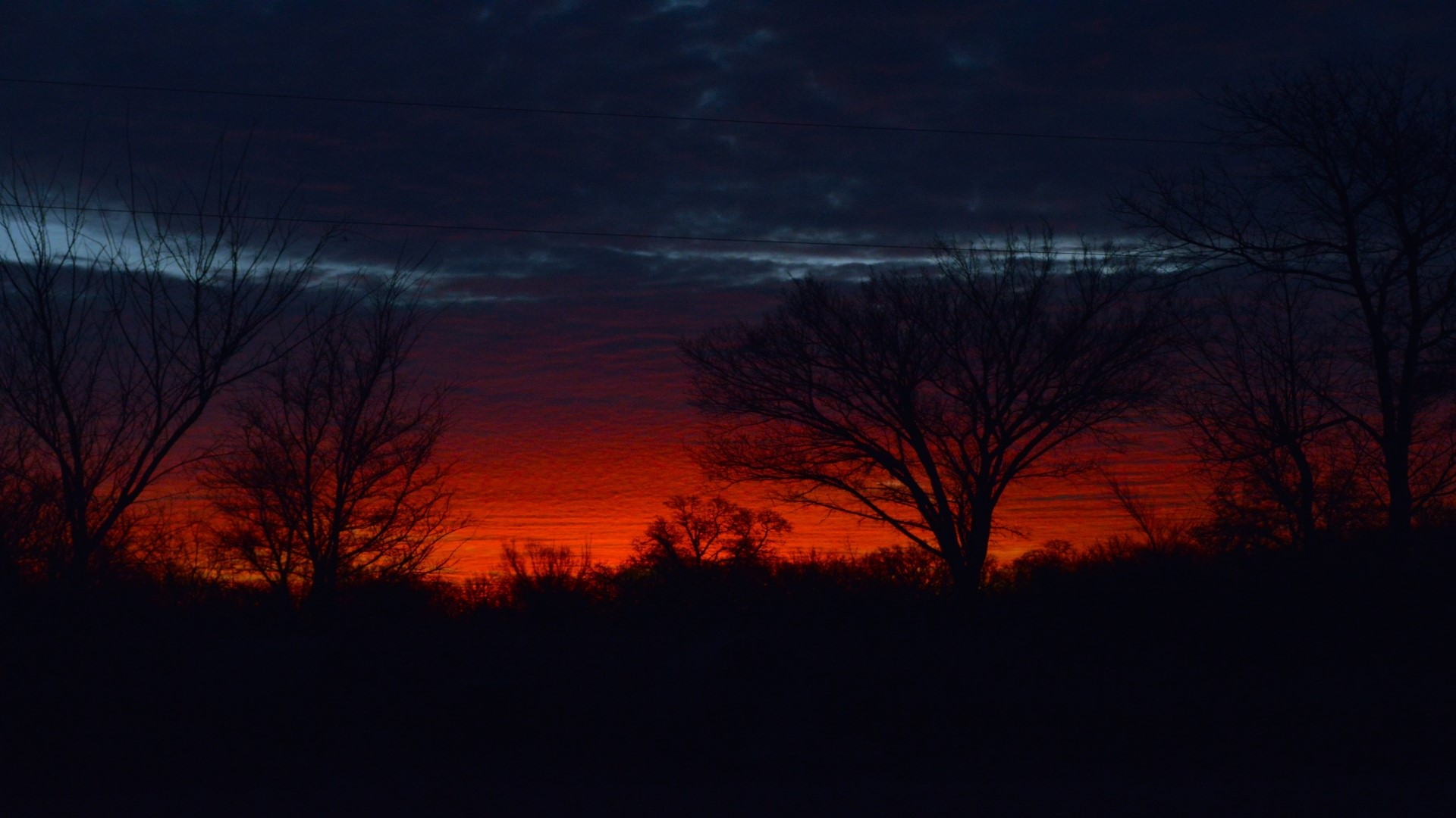 Silhouette of trees against a fiery sunset HD Wallpaper