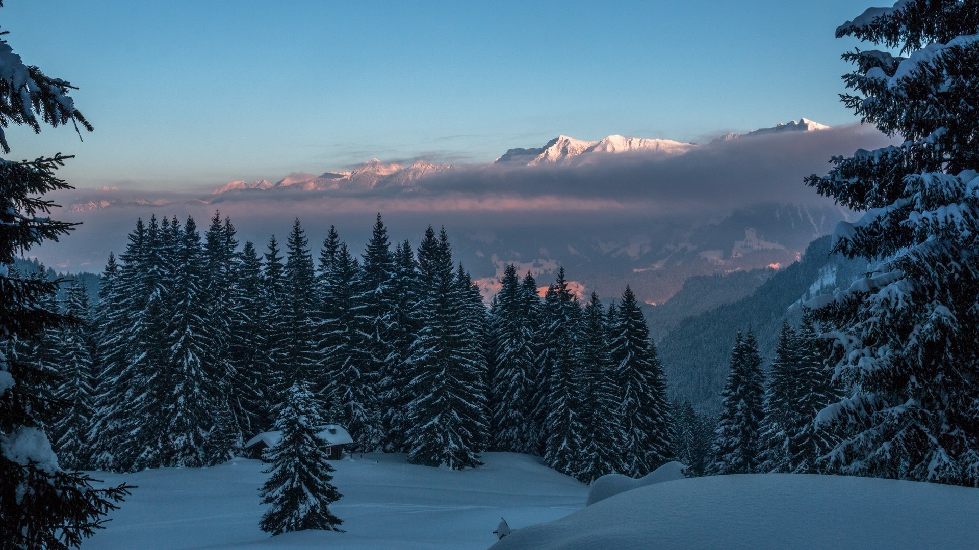 Snowy forest with mountains at sunrise HD Wallpaper