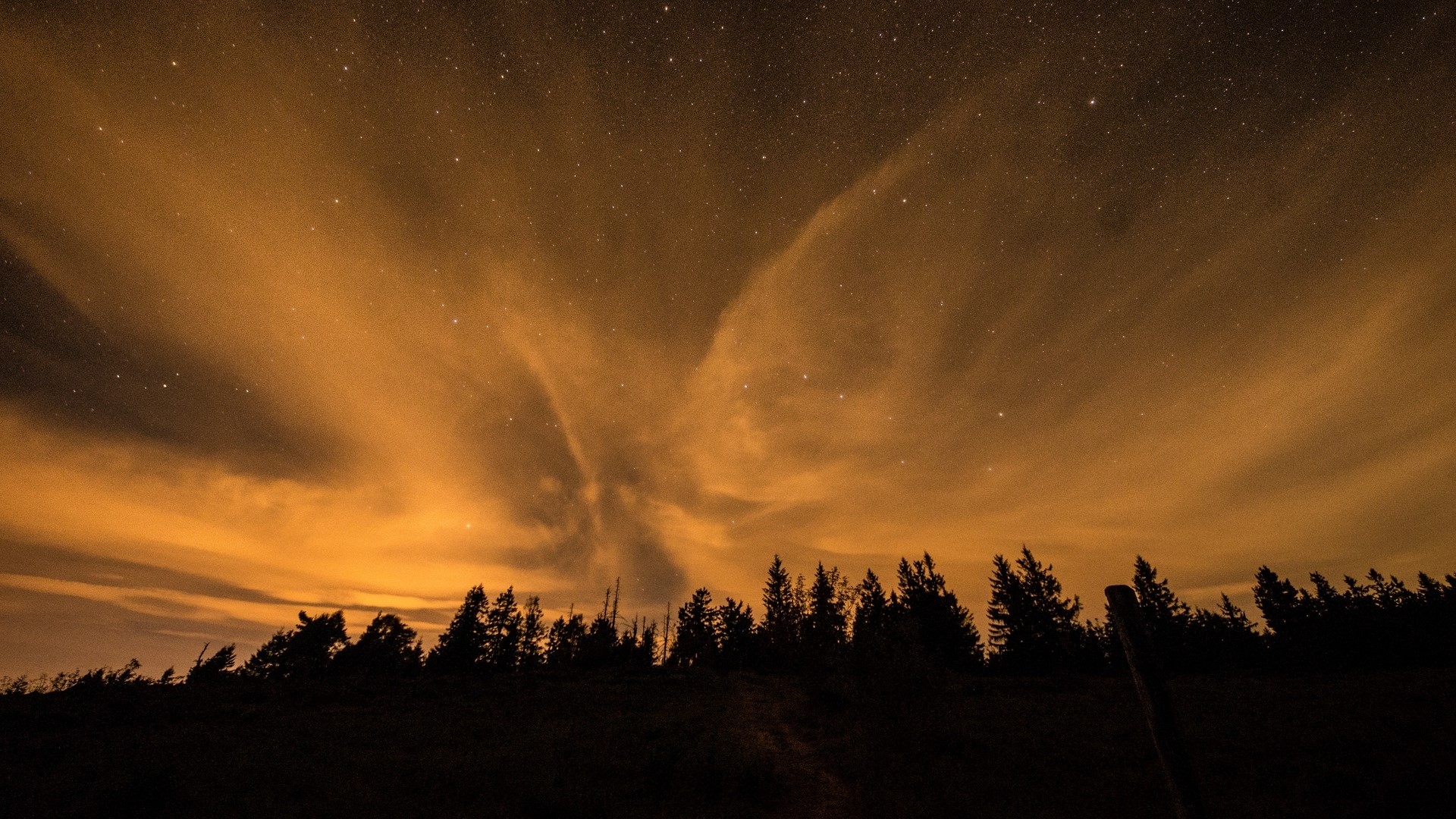 Starry sky with clouds over trees HD Wallpaper
