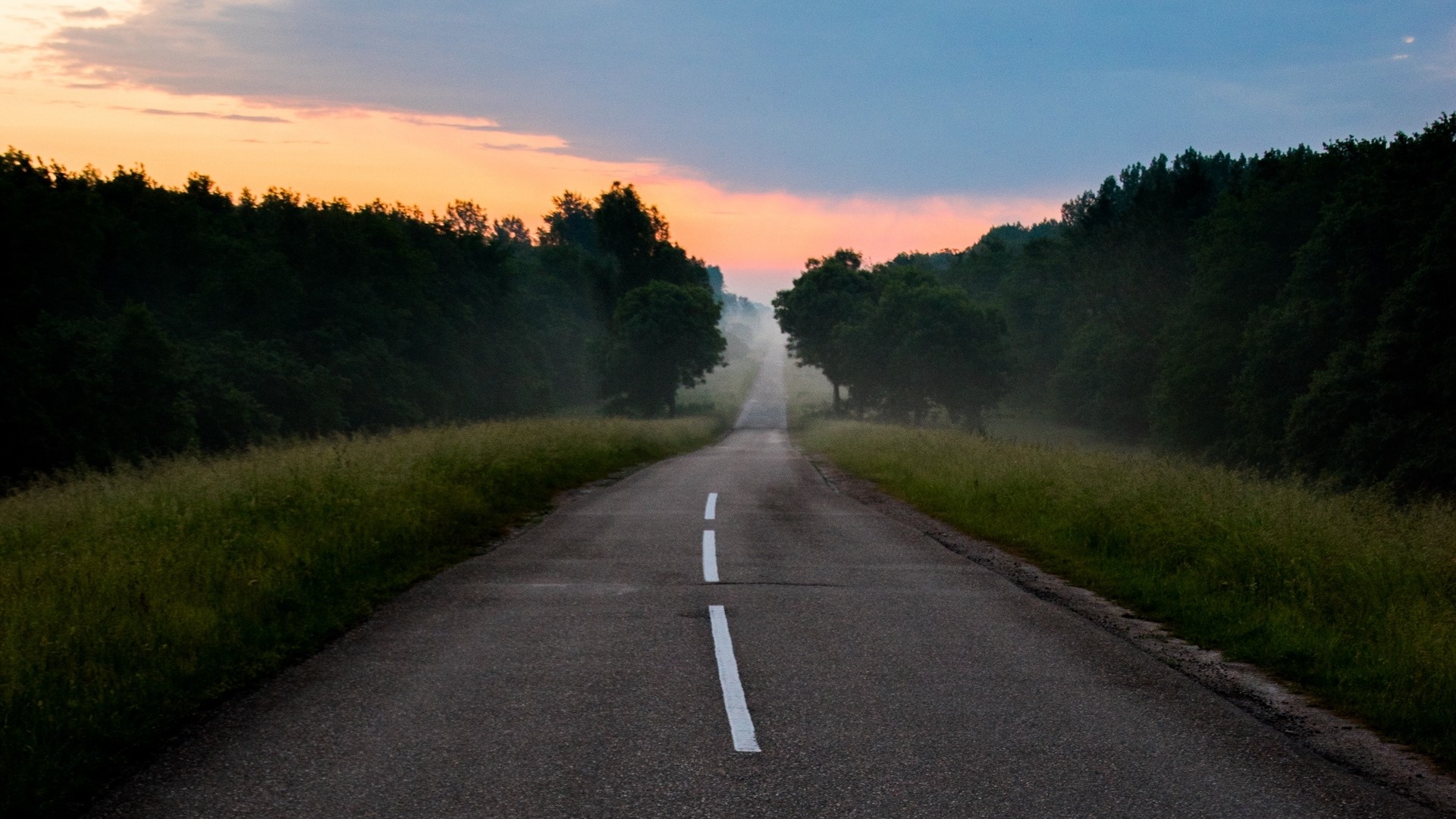Road through a forest at sunrise HD Wallpaper