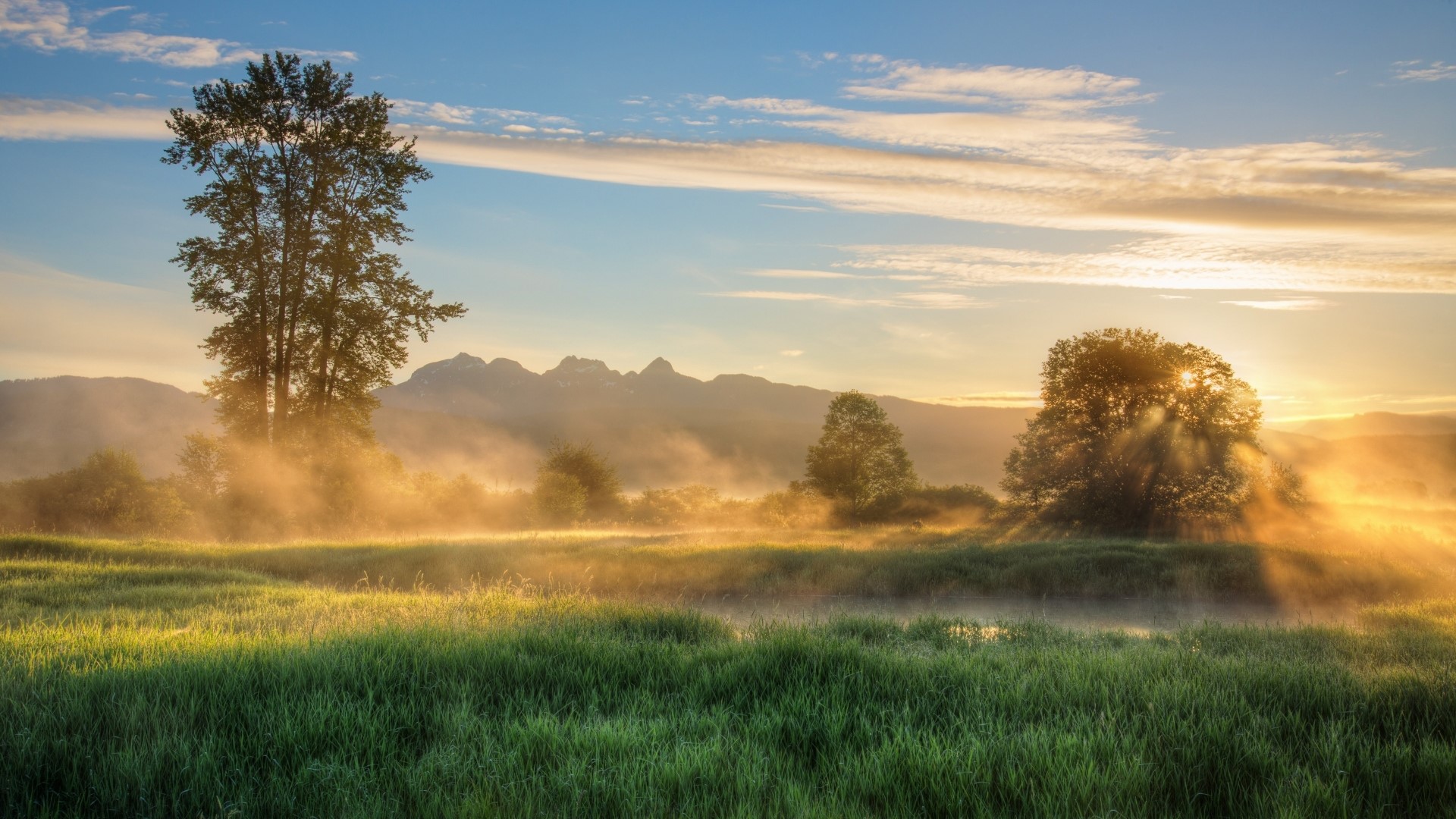 Misty Morning Sunrise Over Grassy Field with Mountains HD Wallpaper