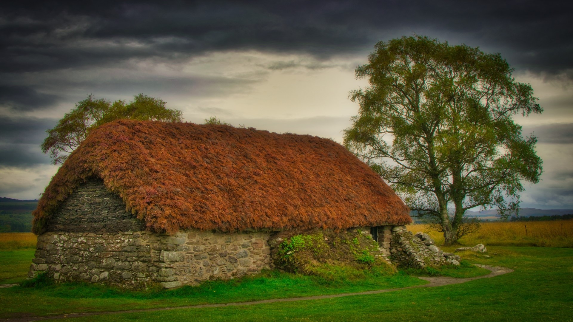 Thatched roof stone cottage with a large tree HD Wallpaper