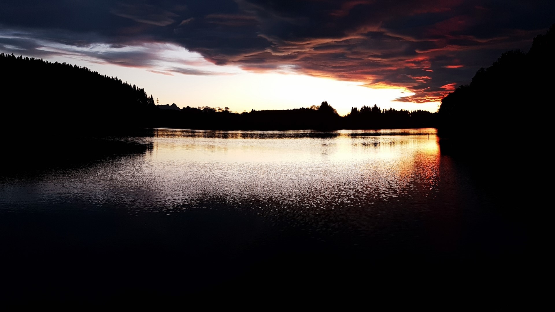 Sunset over a lake with silhouetted trees HD Wallpaper
