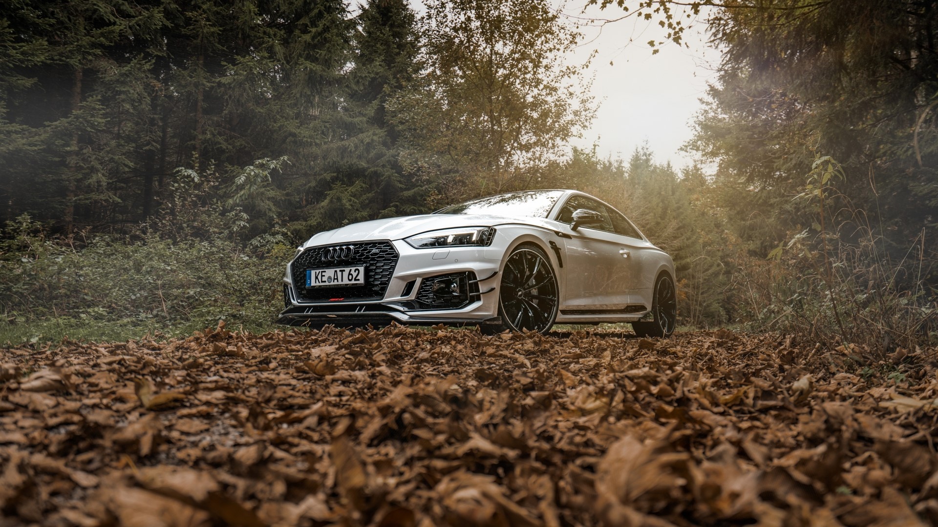 White Audi RS5 parked on a forest road HD Wallpaper