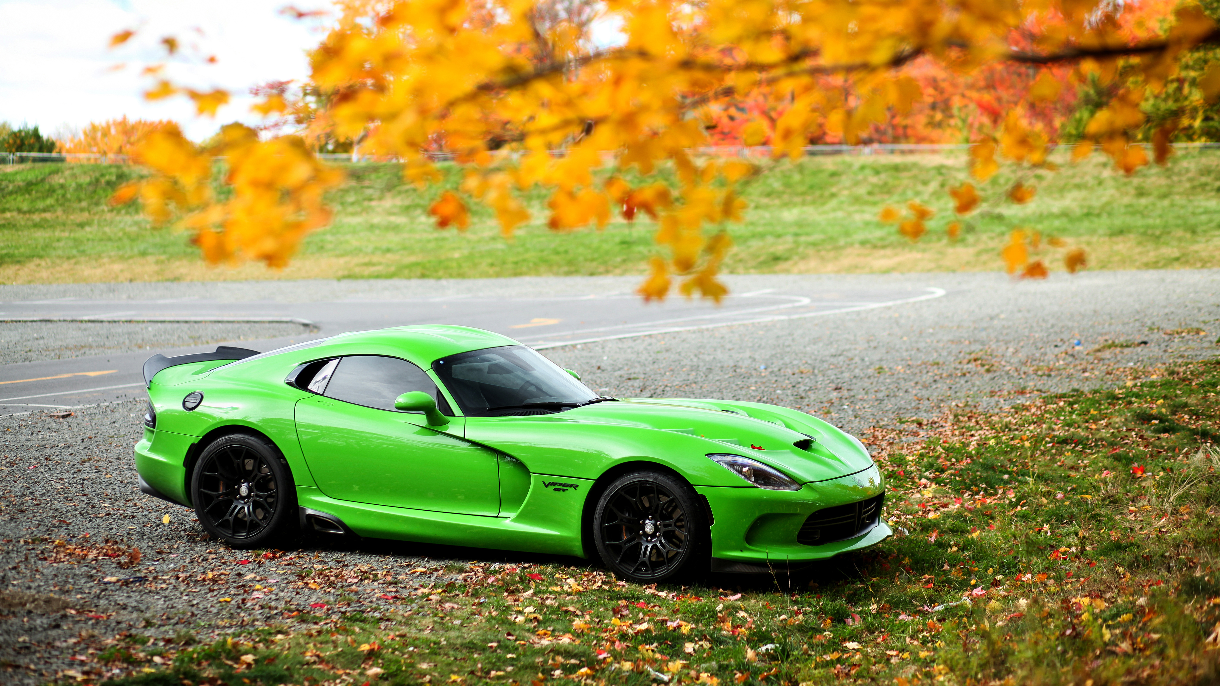 Green Dodge Viper GTC TA in Autumn HD Wallpaper