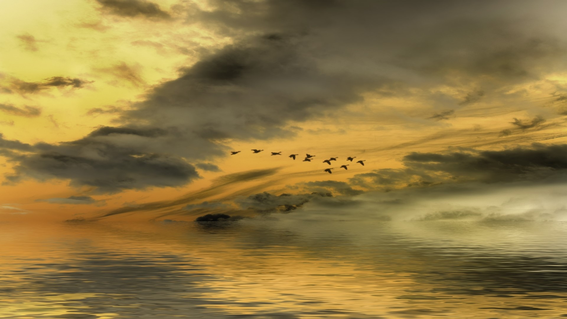 Birds flying over a lake at sunset HD Wallpaper