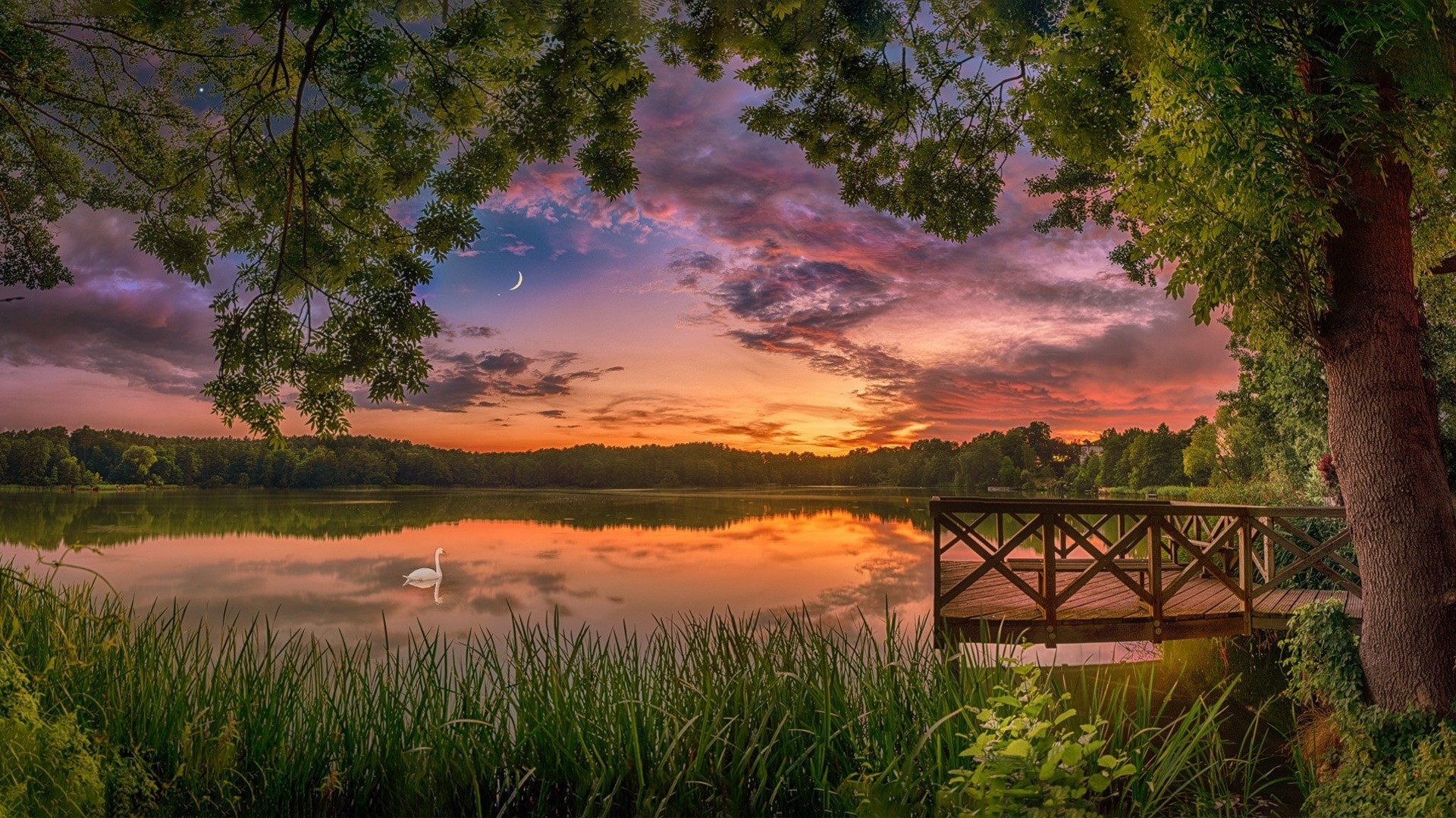 Swan on a lake at sunset with a wooden pier HD Wallpaper