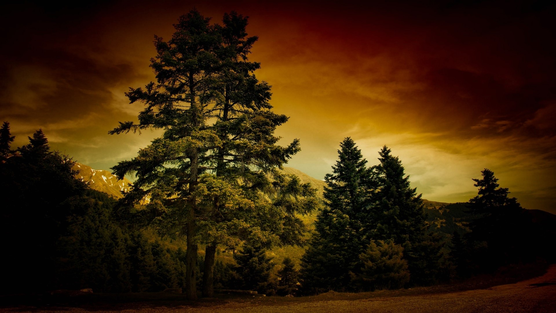Trees in a Mountainous Landscape at Dusk HD Wallpaper