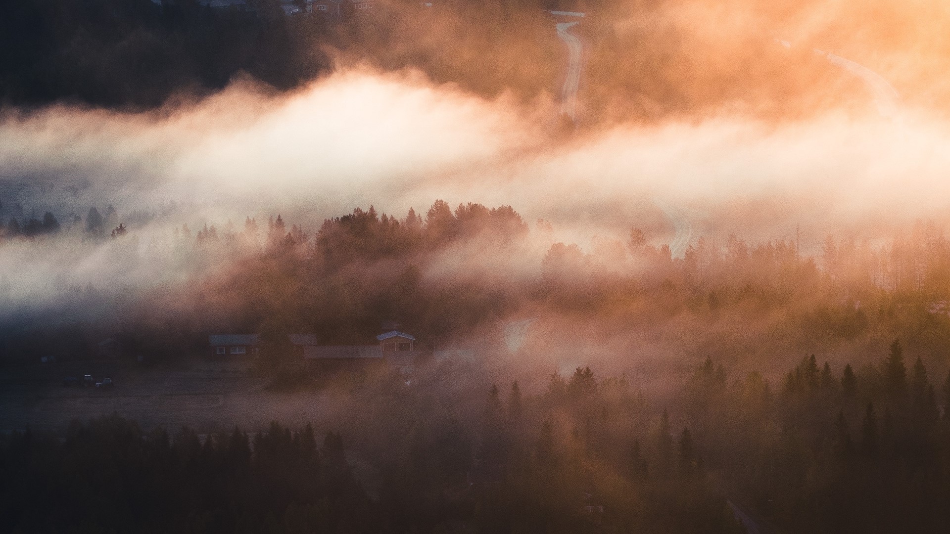 Foggy forest with houses and road at sunrise HD Wallpaper