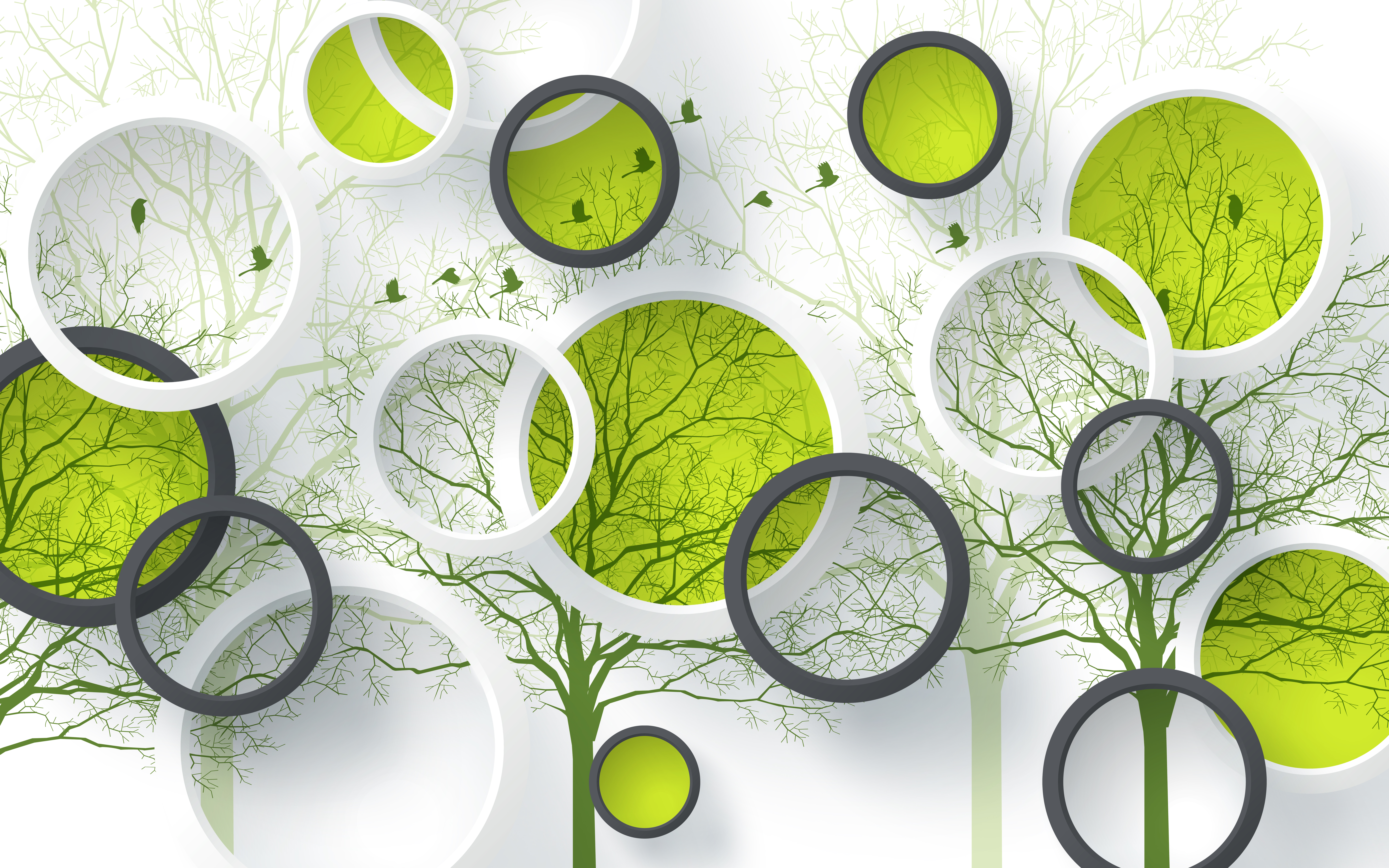 Birds, Design, 4K, Green, 8K, Circles HD Wallpaper