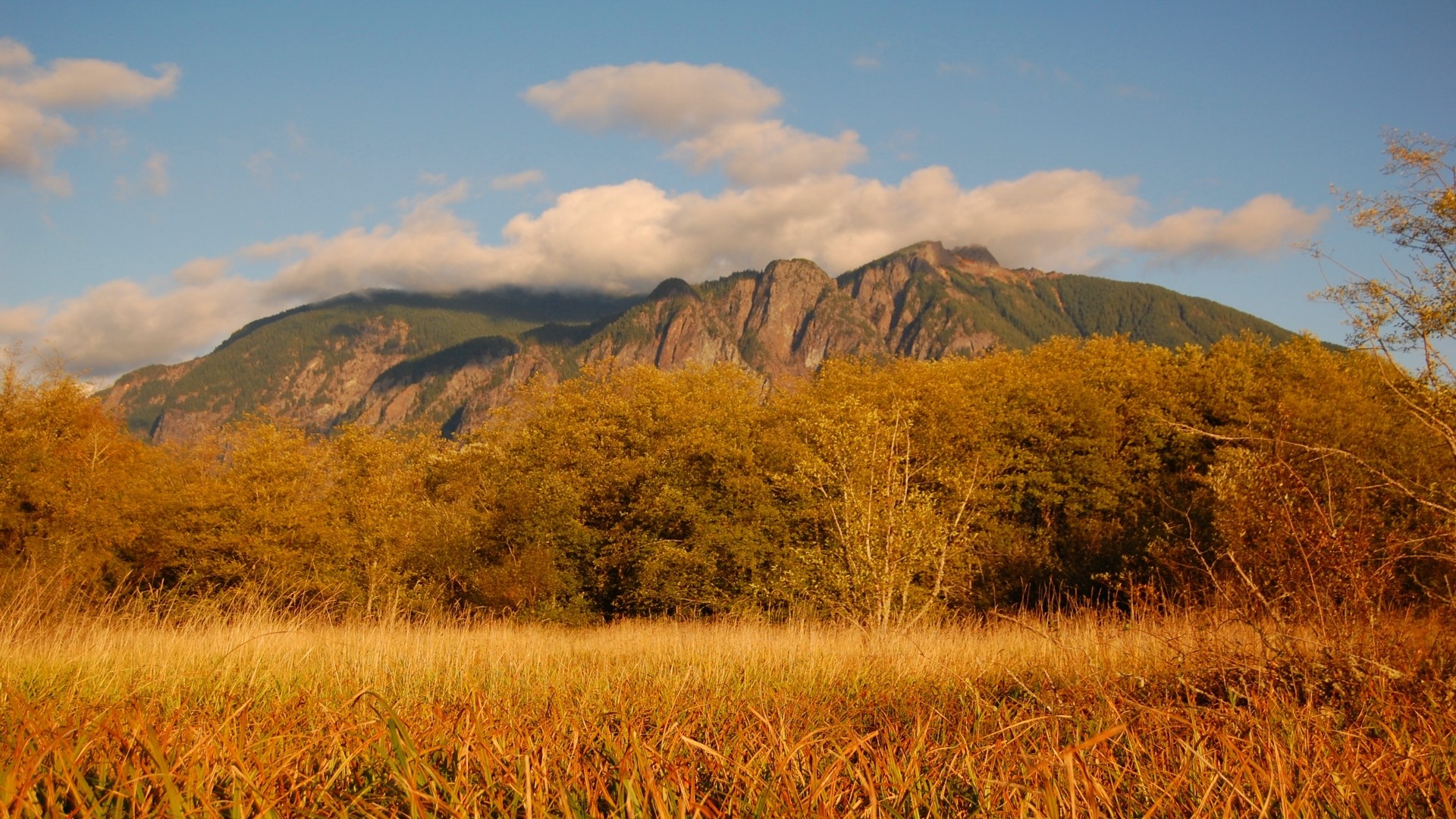 Mountain range with autumn trees and grass HD Wallpaper