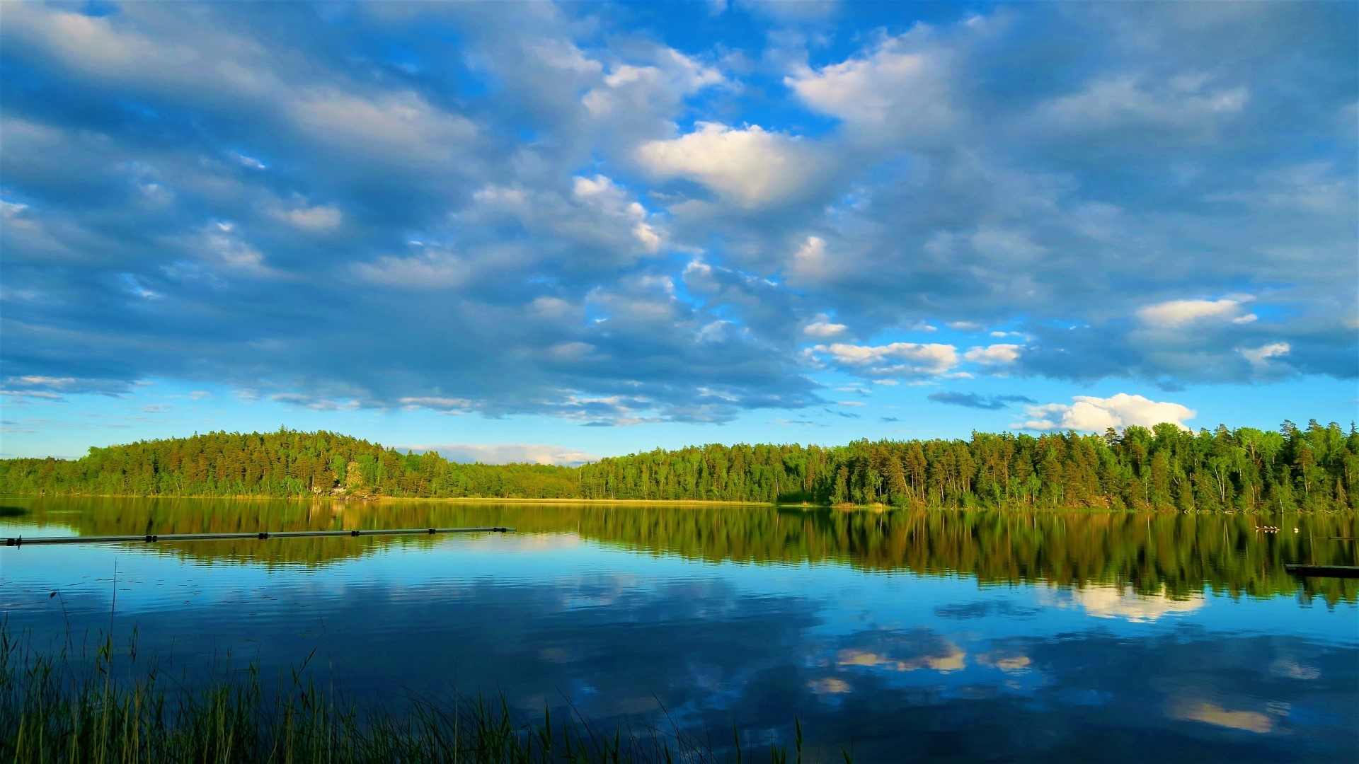 Lake with Forest and Clouds HD Wallpaper