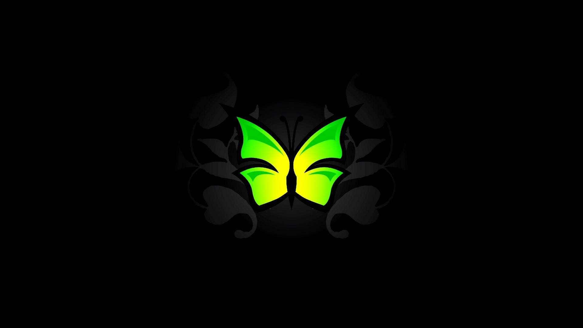 Green butterfly logo on black background HD Wallpaper