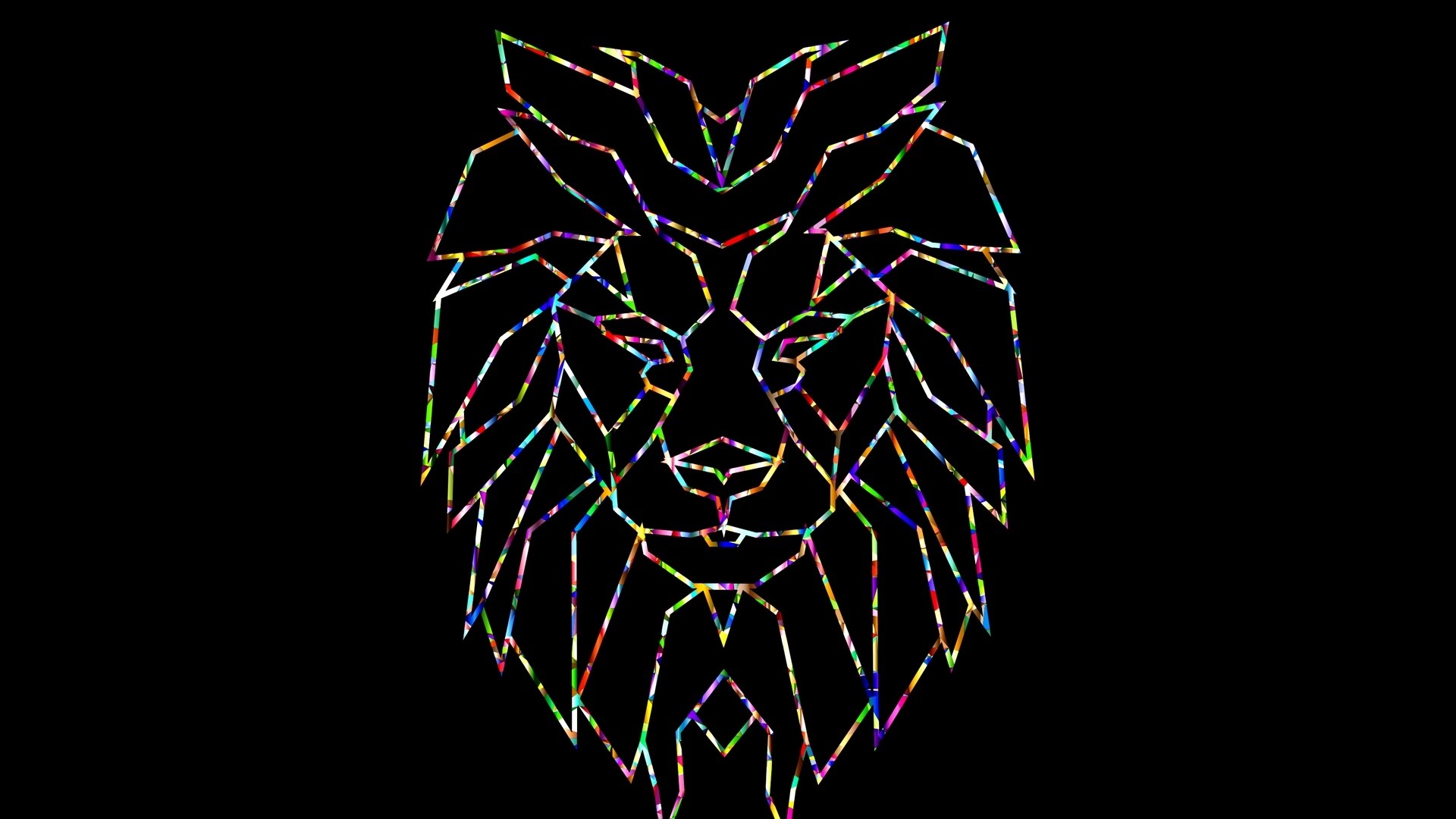 Geometric lion head with colorful outline HD Wallpaper