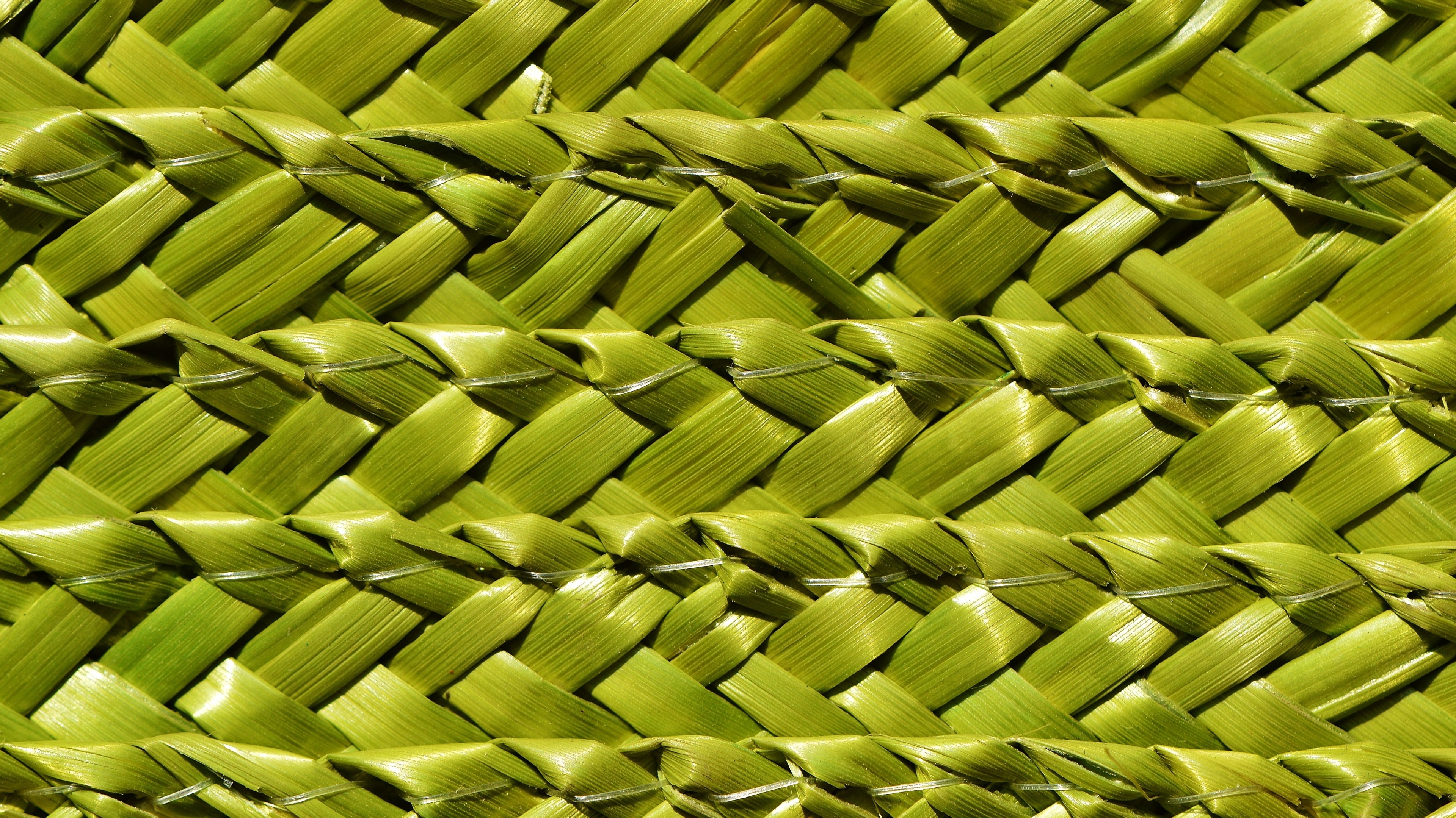 4K Texture of Woven Green Material HD Wallpaper
