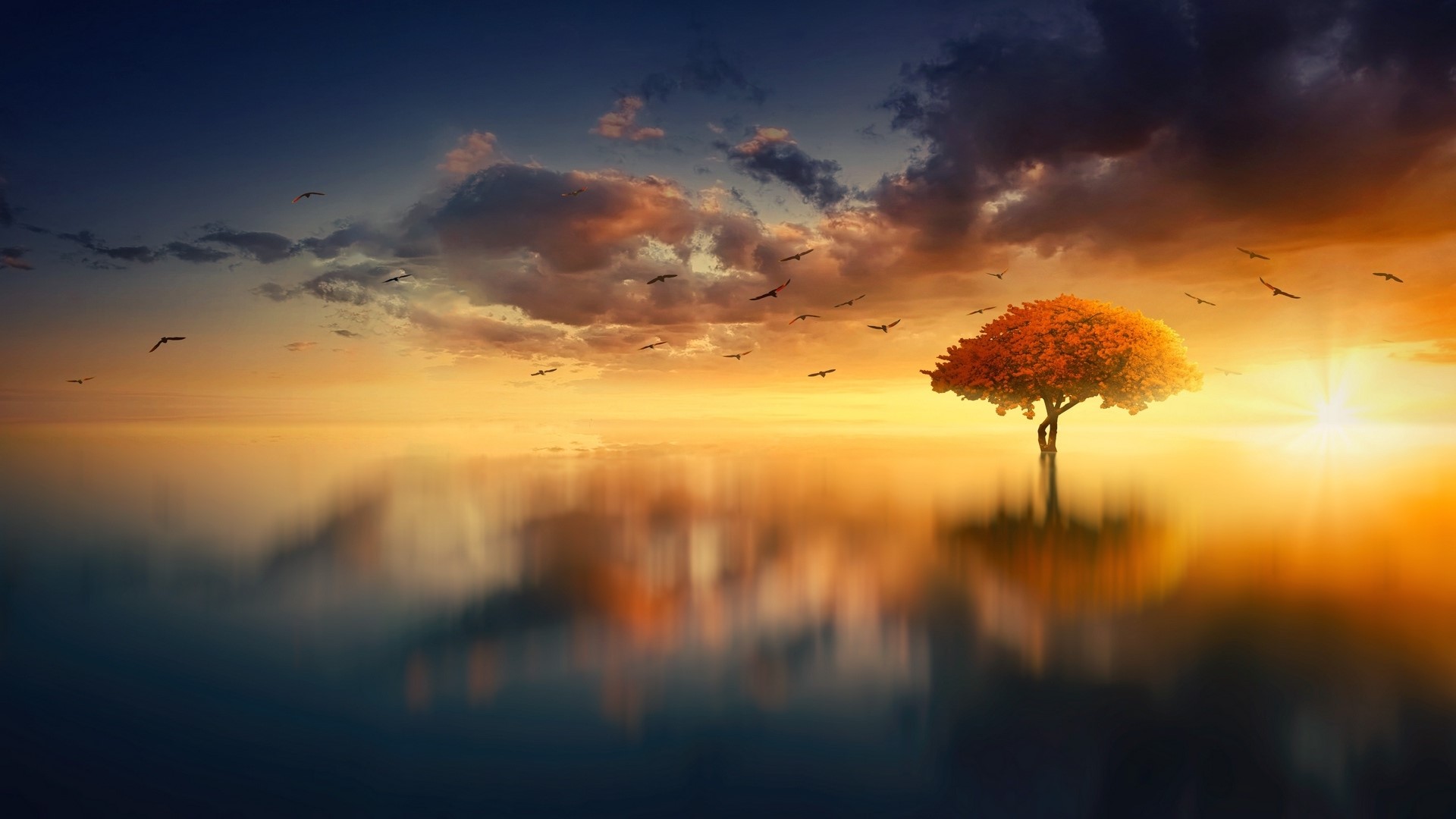 Tree in the ocean at sunset with birds HD Wallpaper