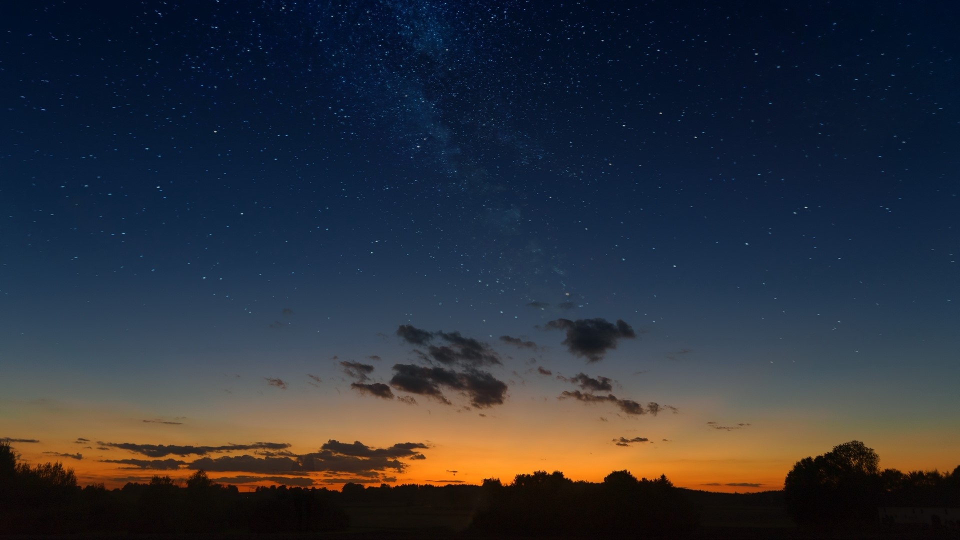 Starry night sky over a silhouetted landscape HD Wallpaper