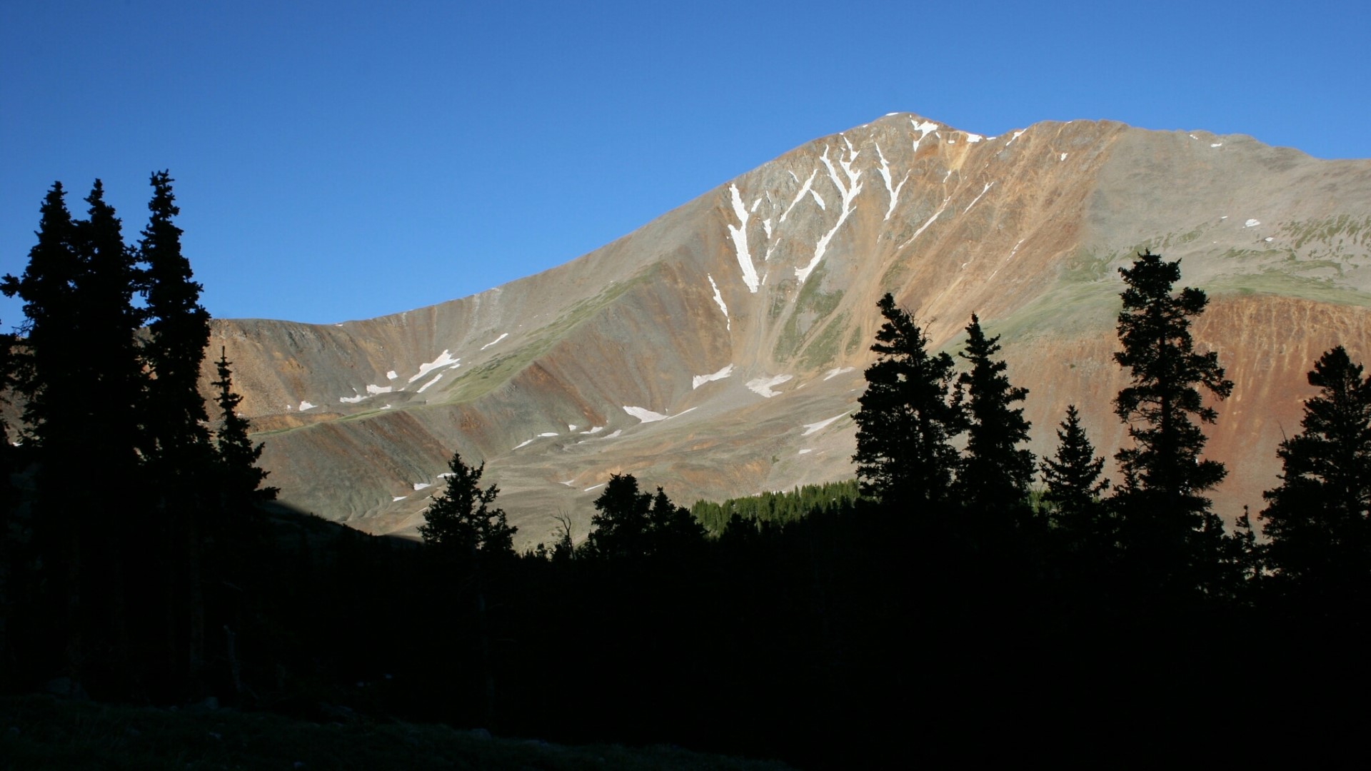 Mountain range with snow patches and pine trees HD Wallpaper