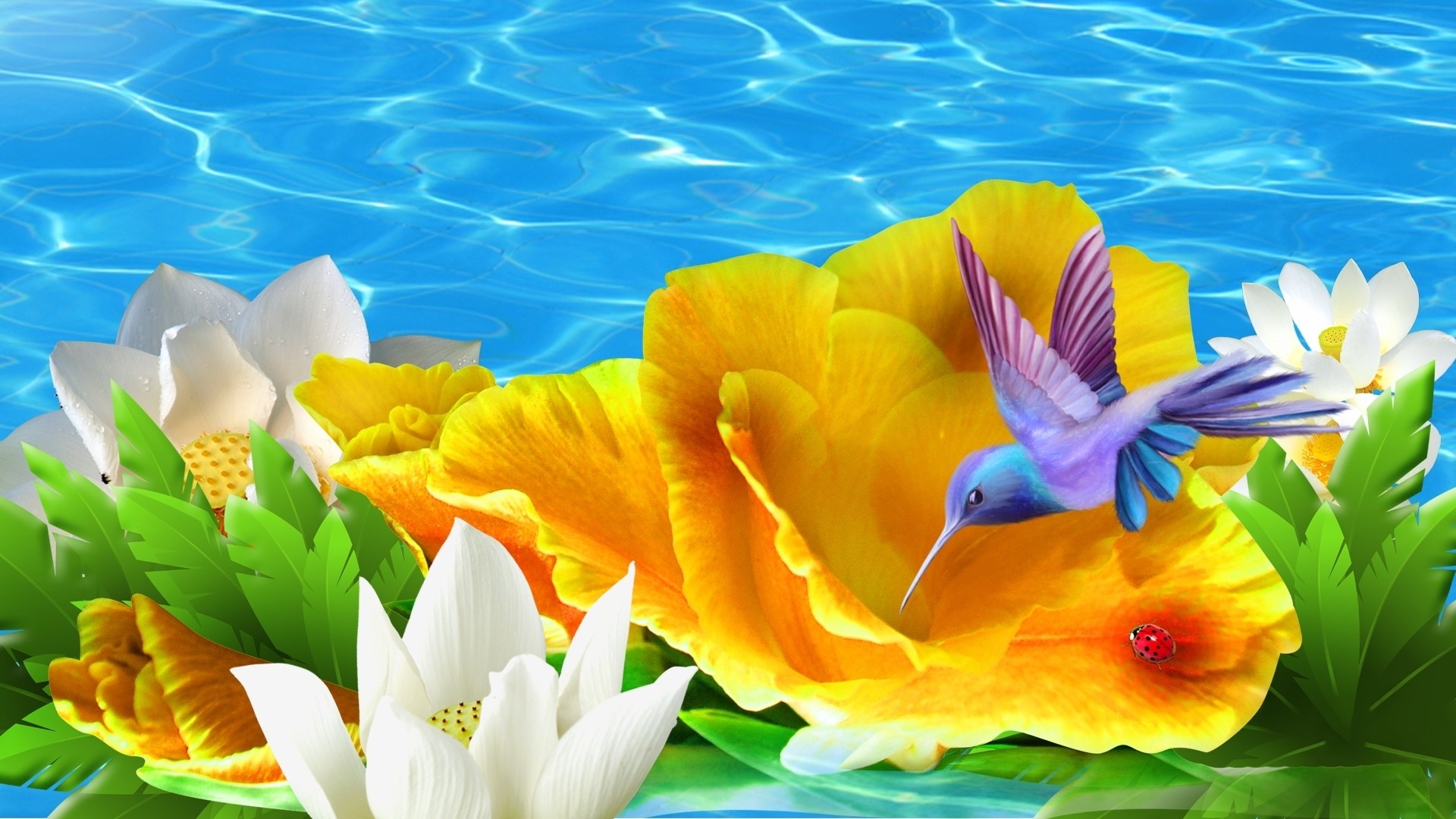 Hummingbird and ladybug on yellow flower with water background HD Wallpaper
