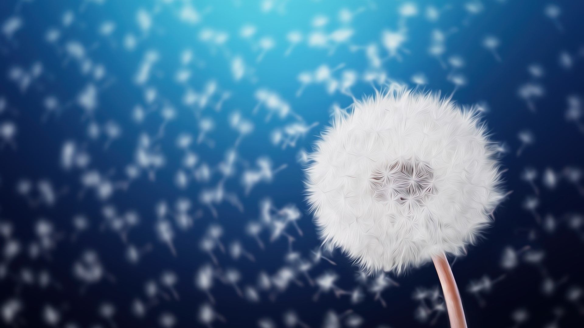 Dandelion seeds blowing in the wind HD Wallpaper
